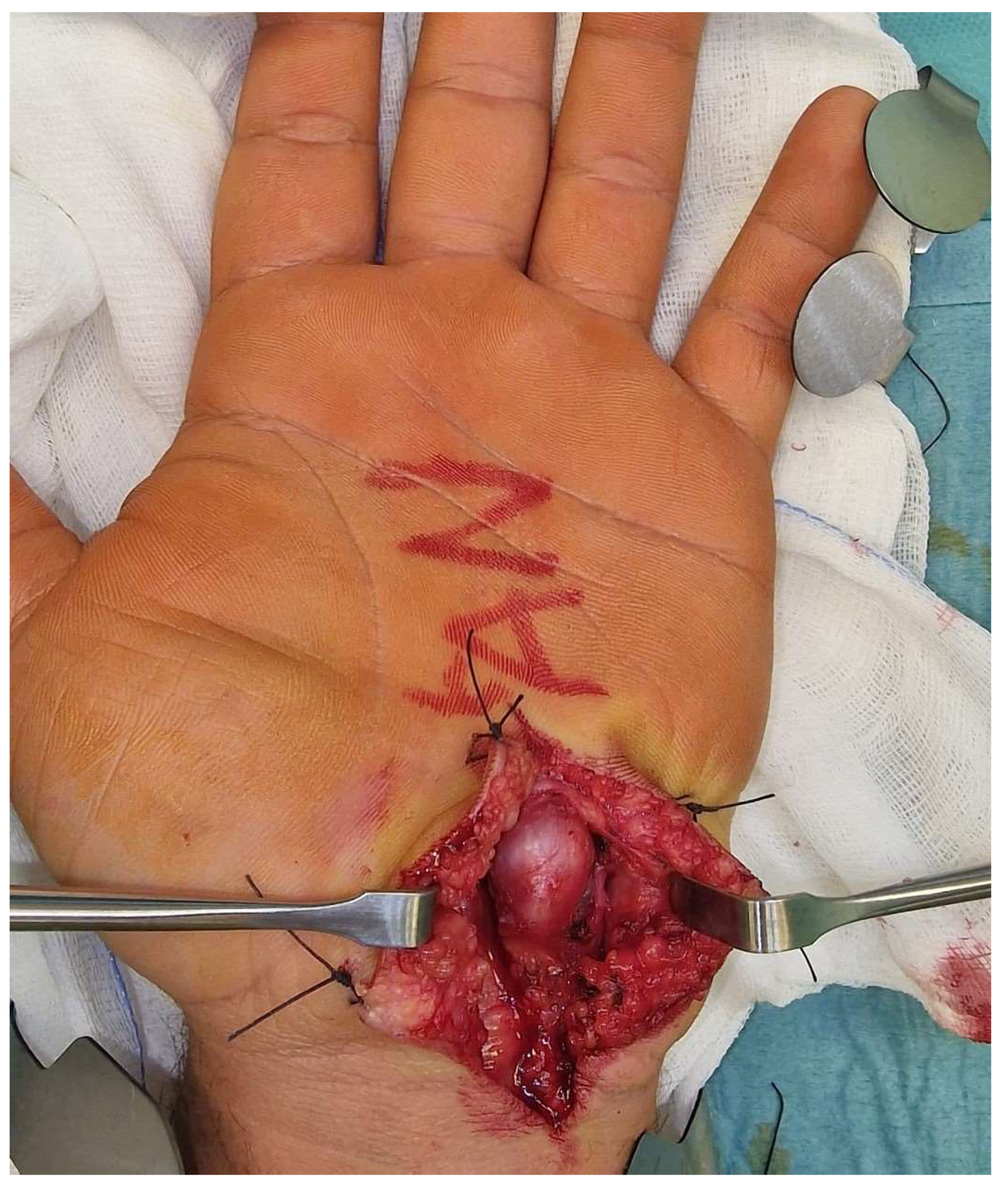 Reports 07 00101 g002