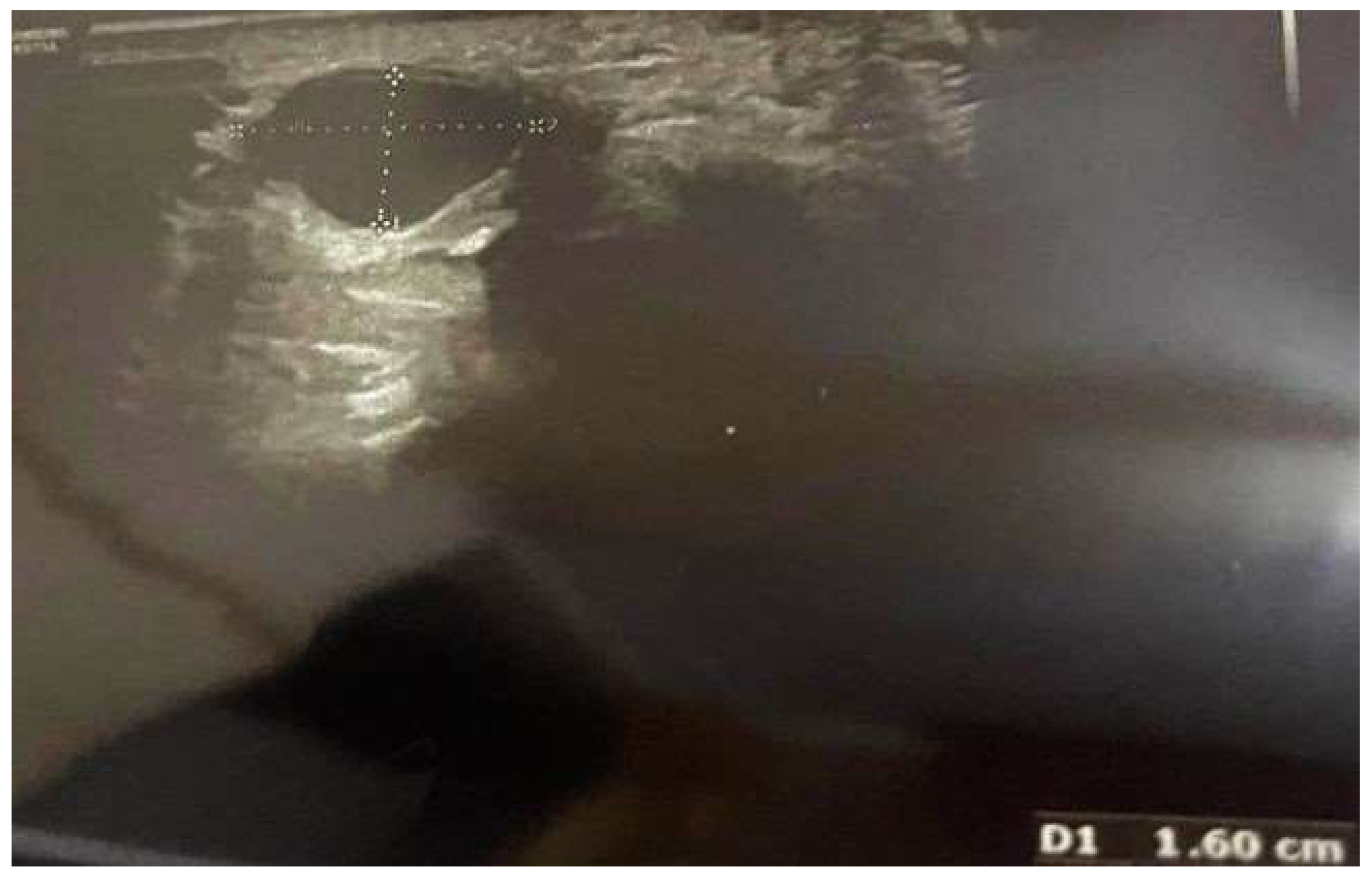 Reports 07 00101 g004