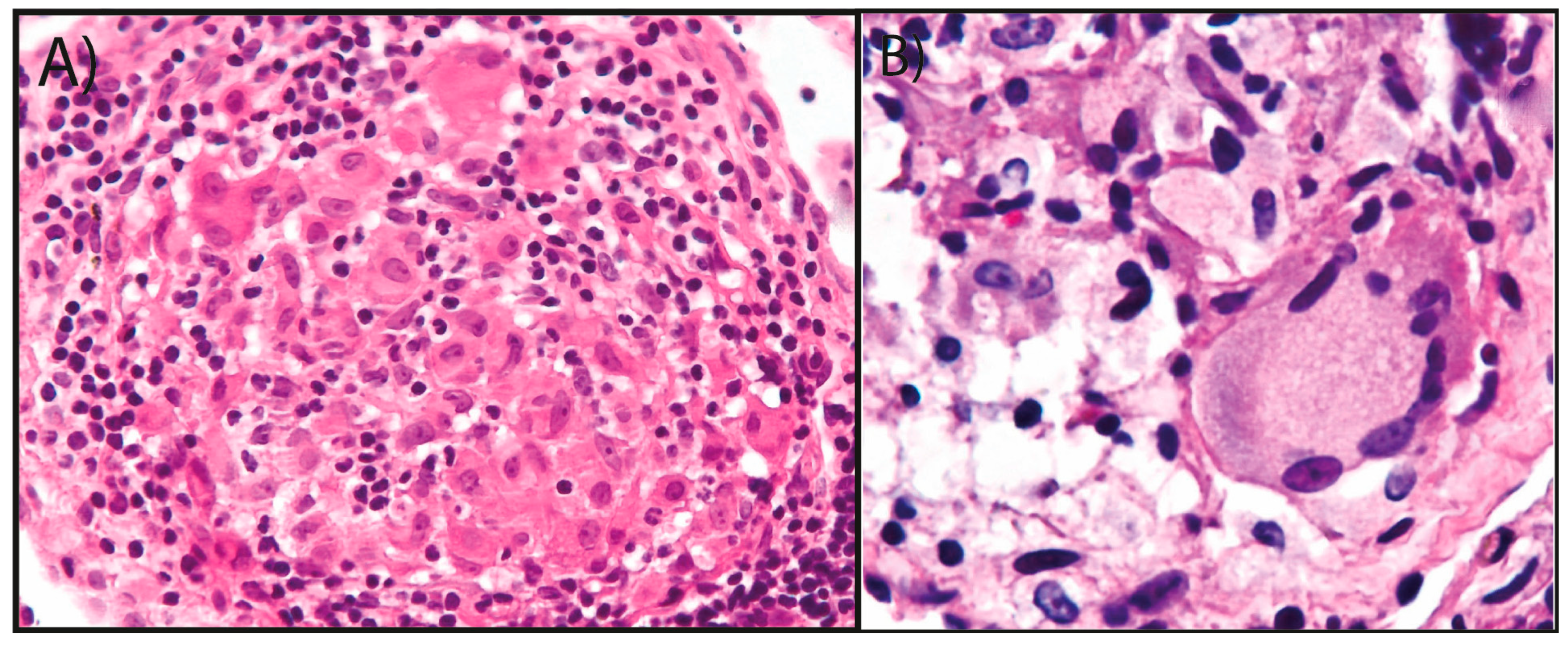 Reports 07 00102 g002 Reports 07 00102 g002