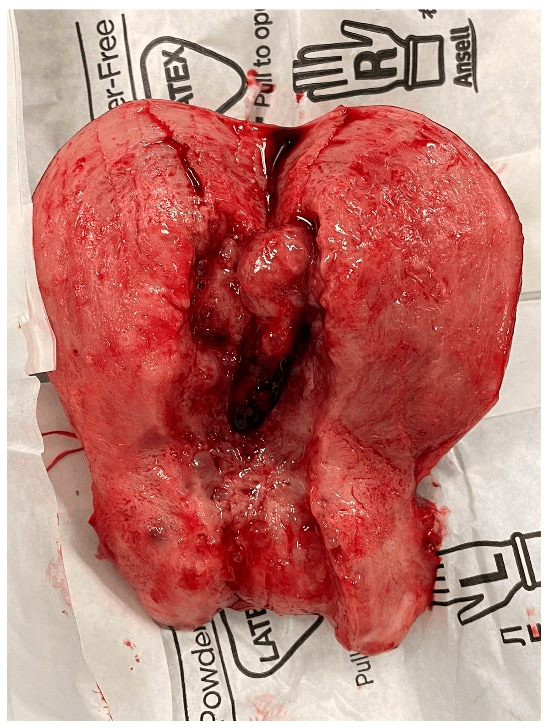 Reports 07 00103 g001