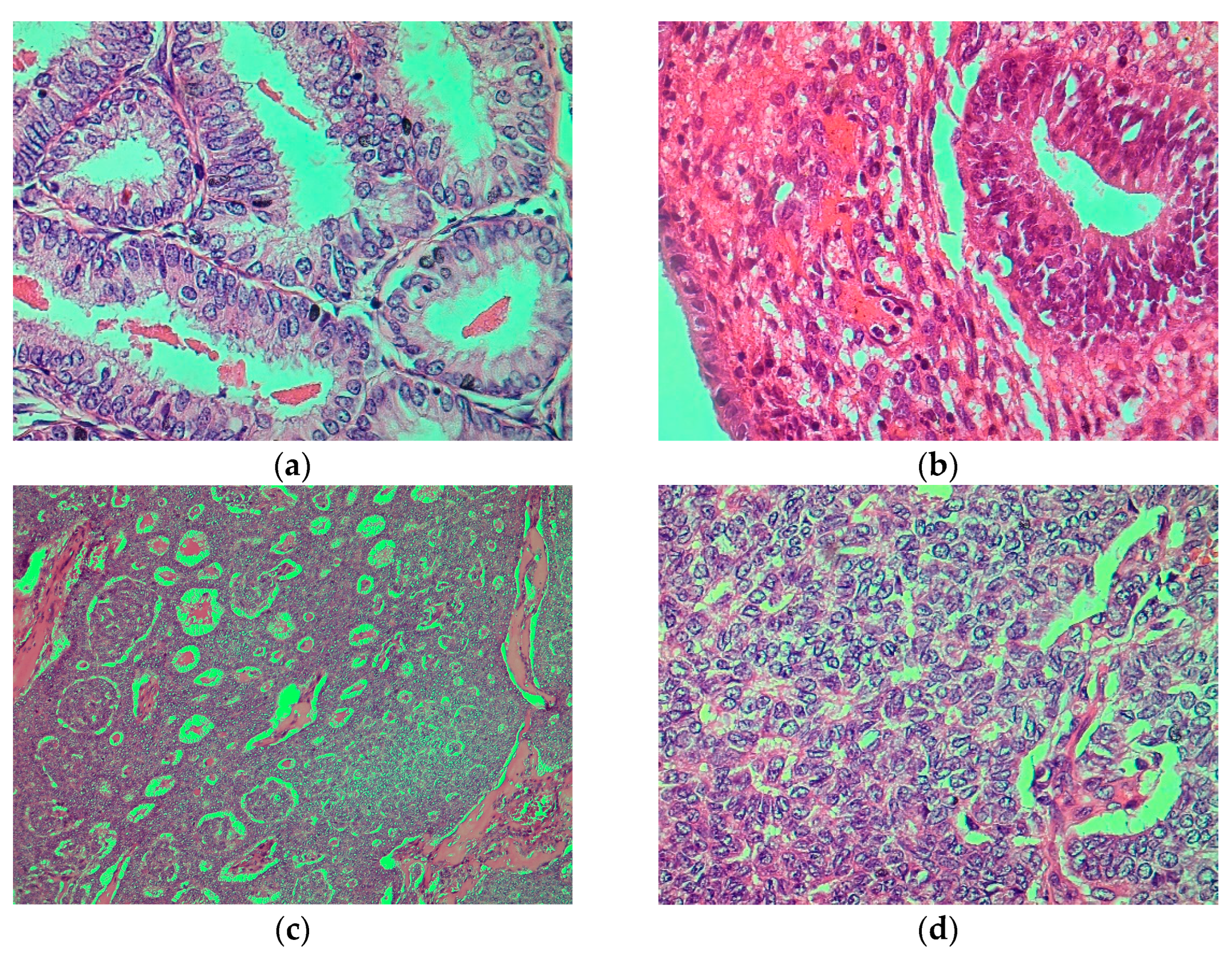 Reports 07 00103 g002