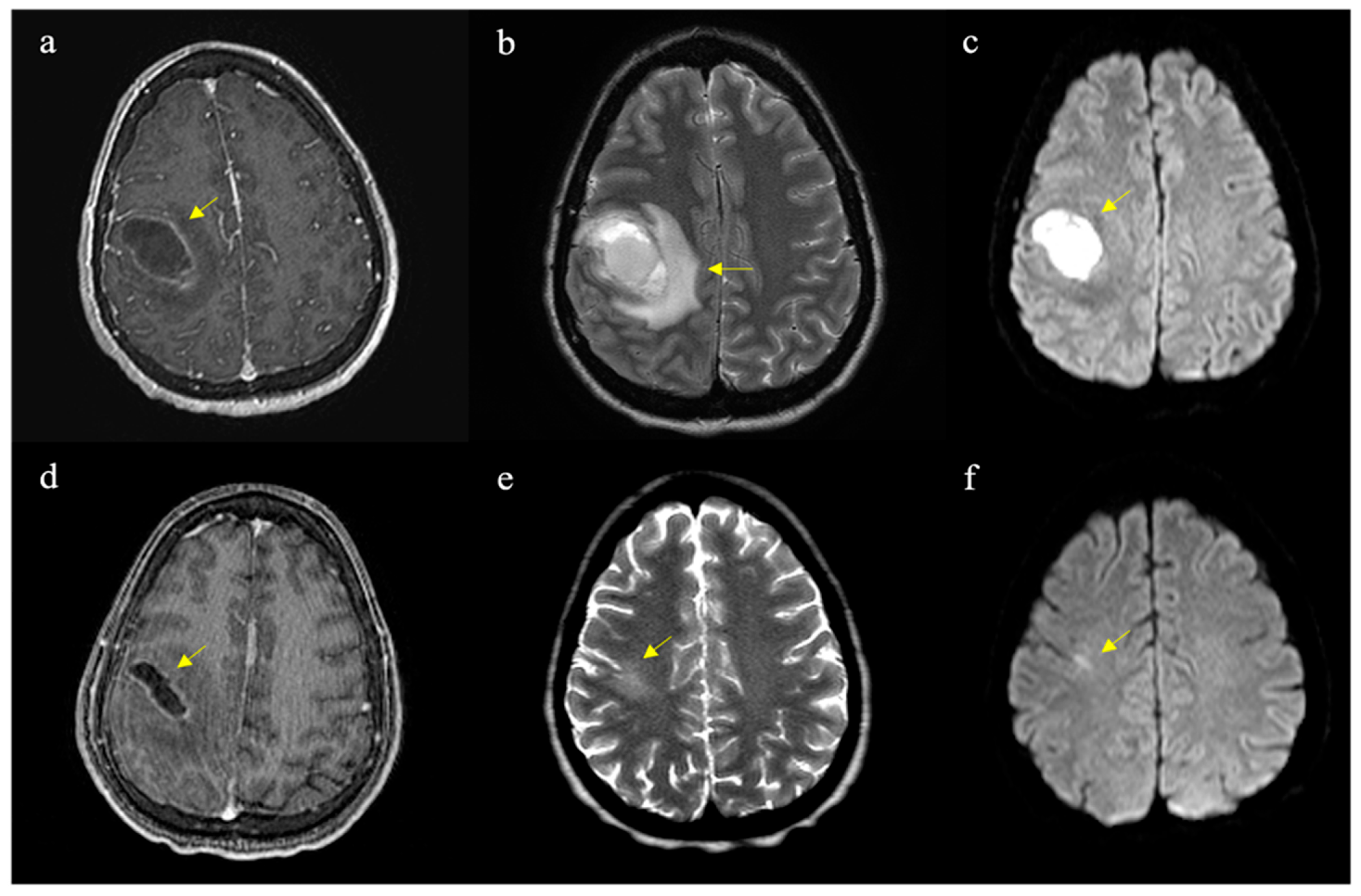 Reports 07 00107 g001