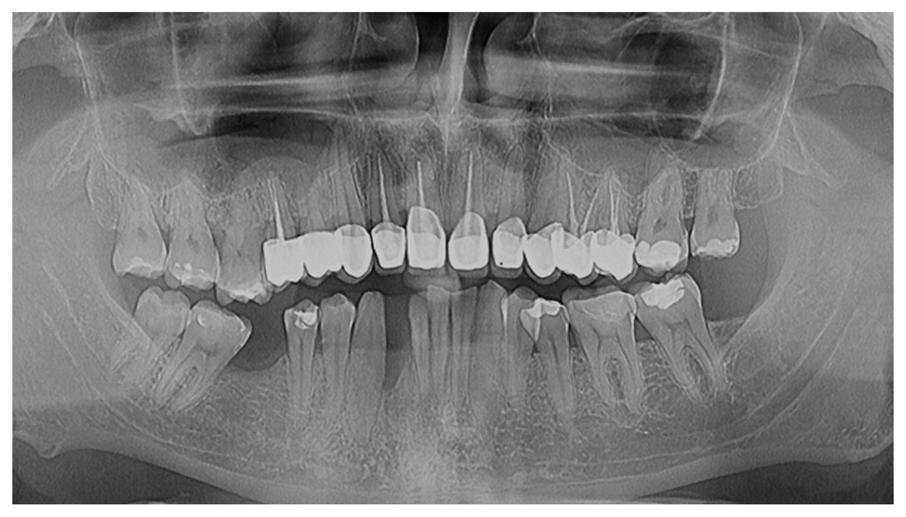 Reports 07 00109 g004