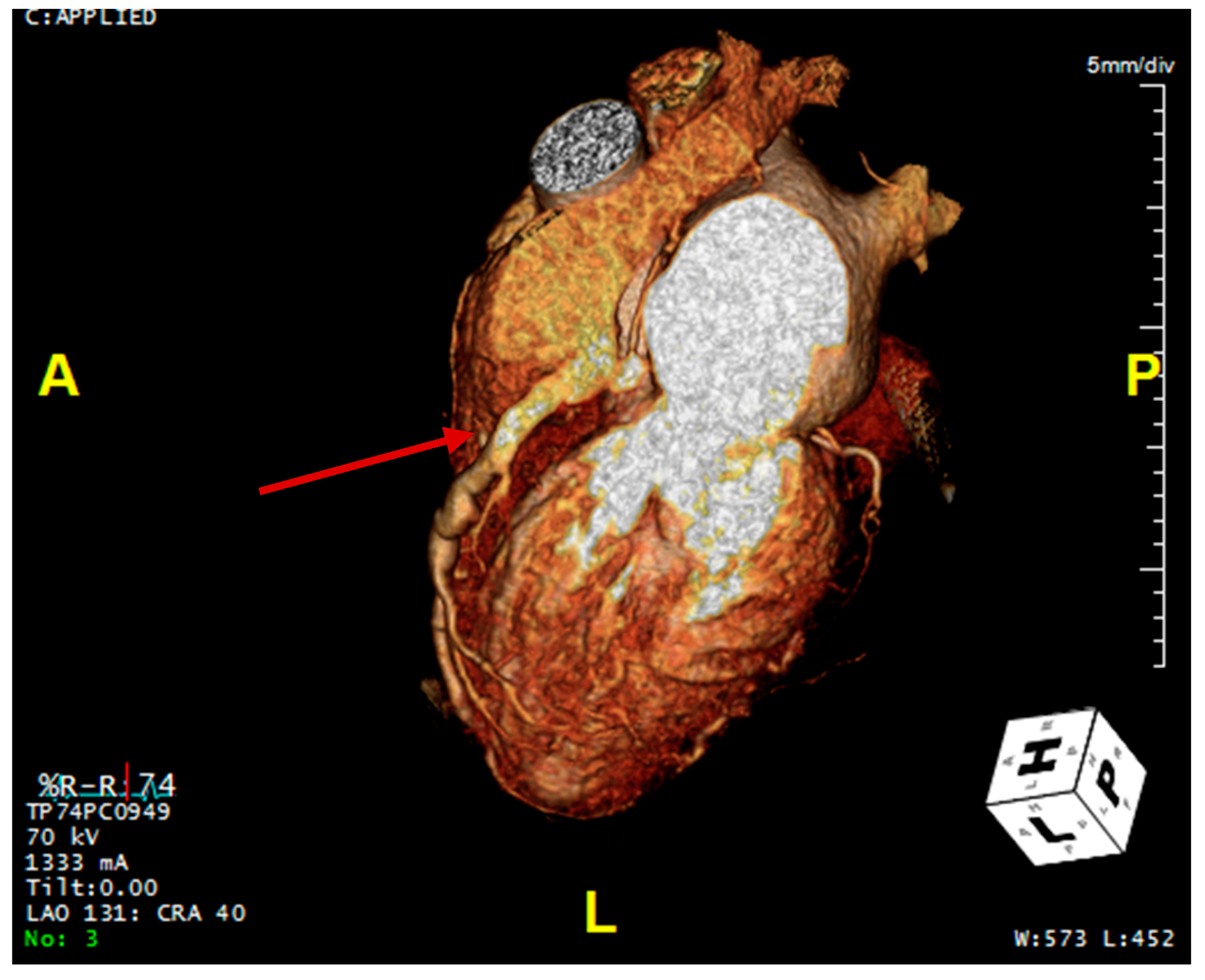 Reports 07 00114 g003