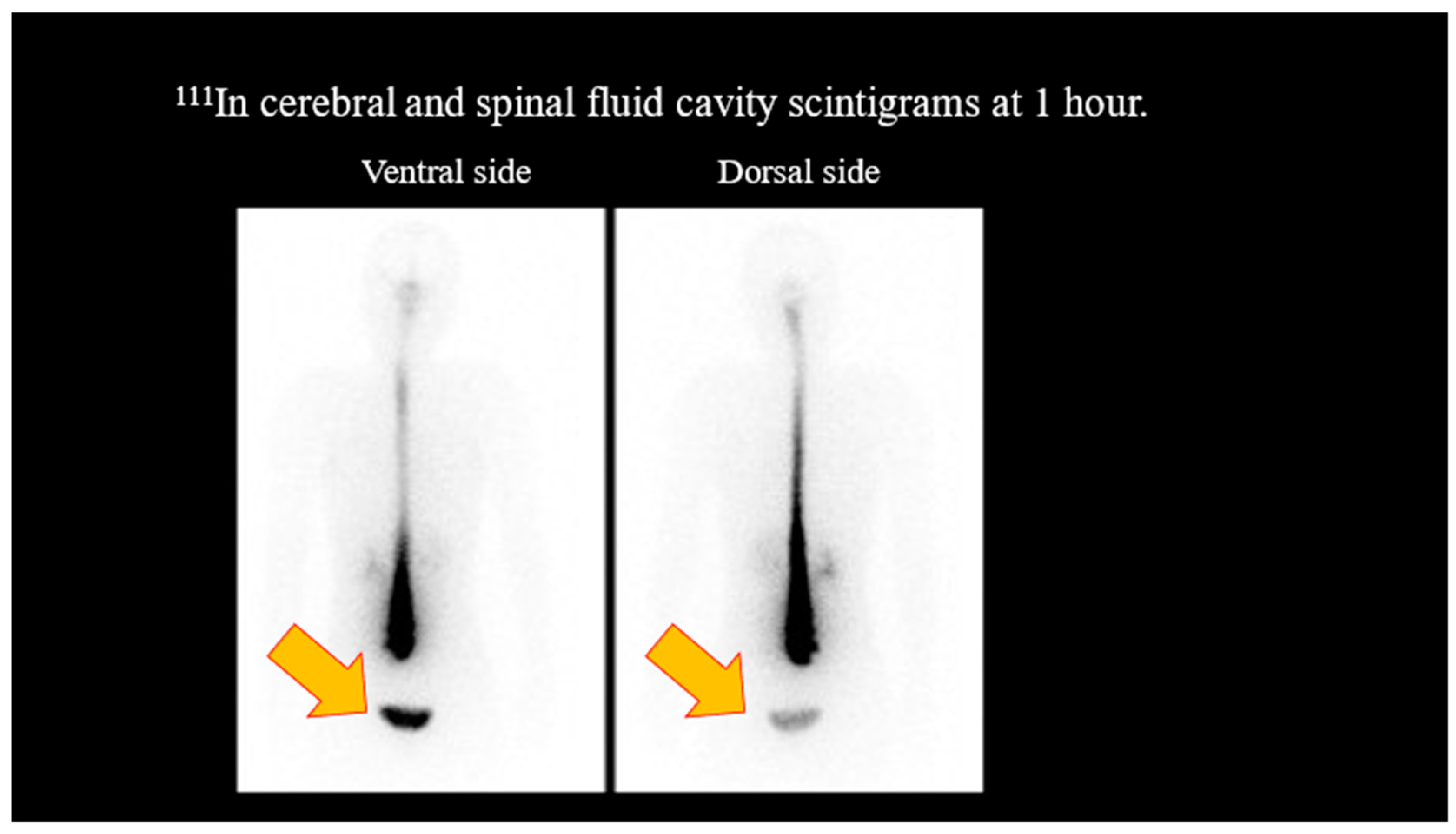 Reports 07 00115 g002