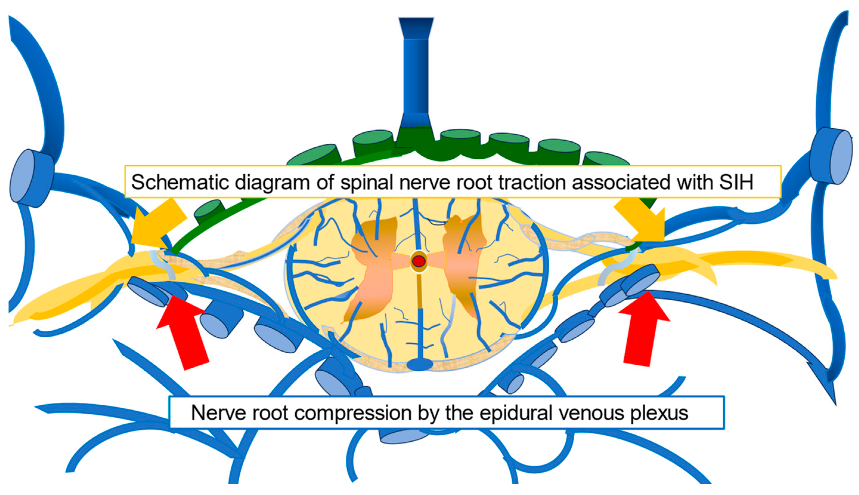 Reports 07 00115 g004