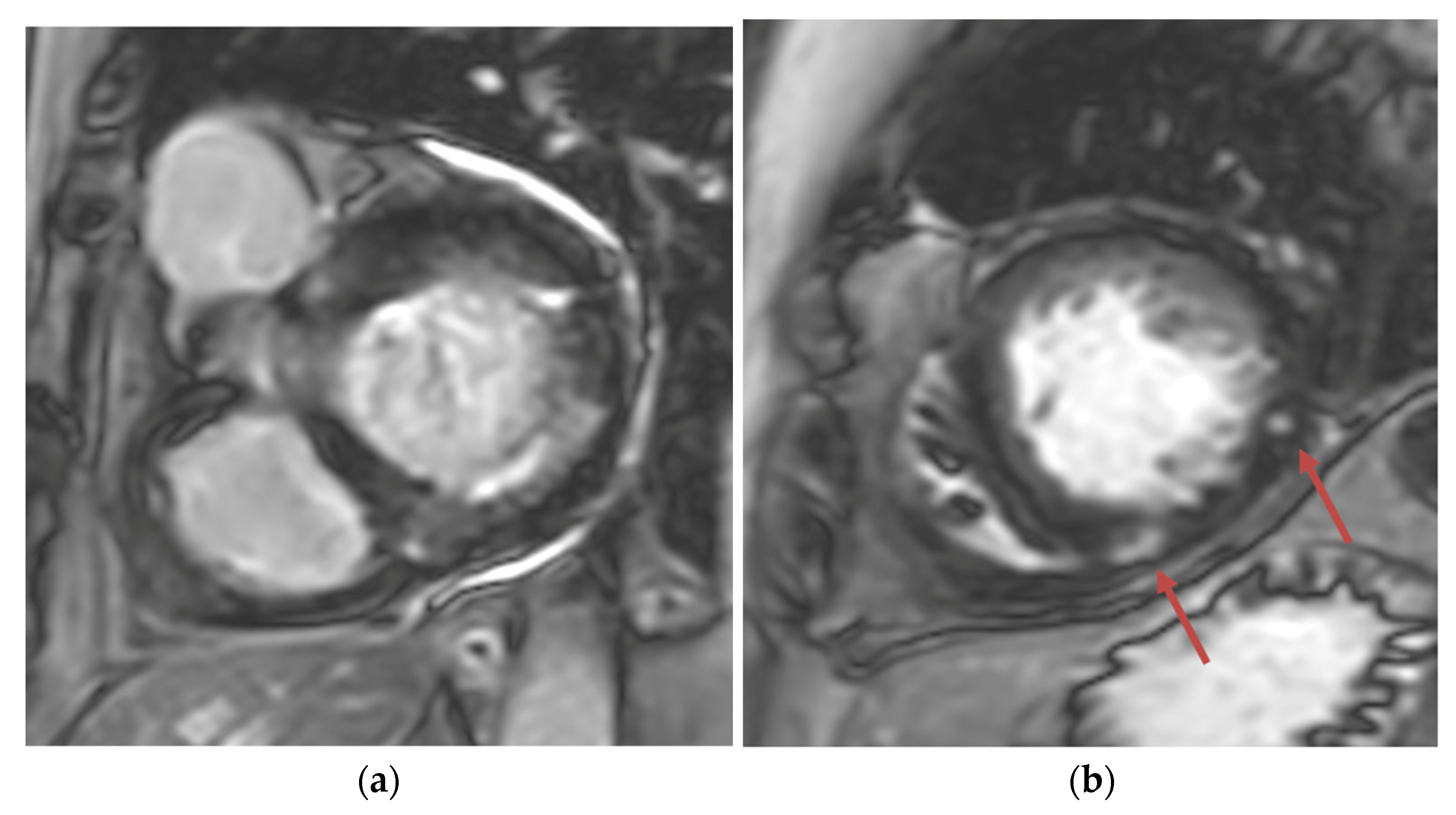 Reports 07 00116 g003