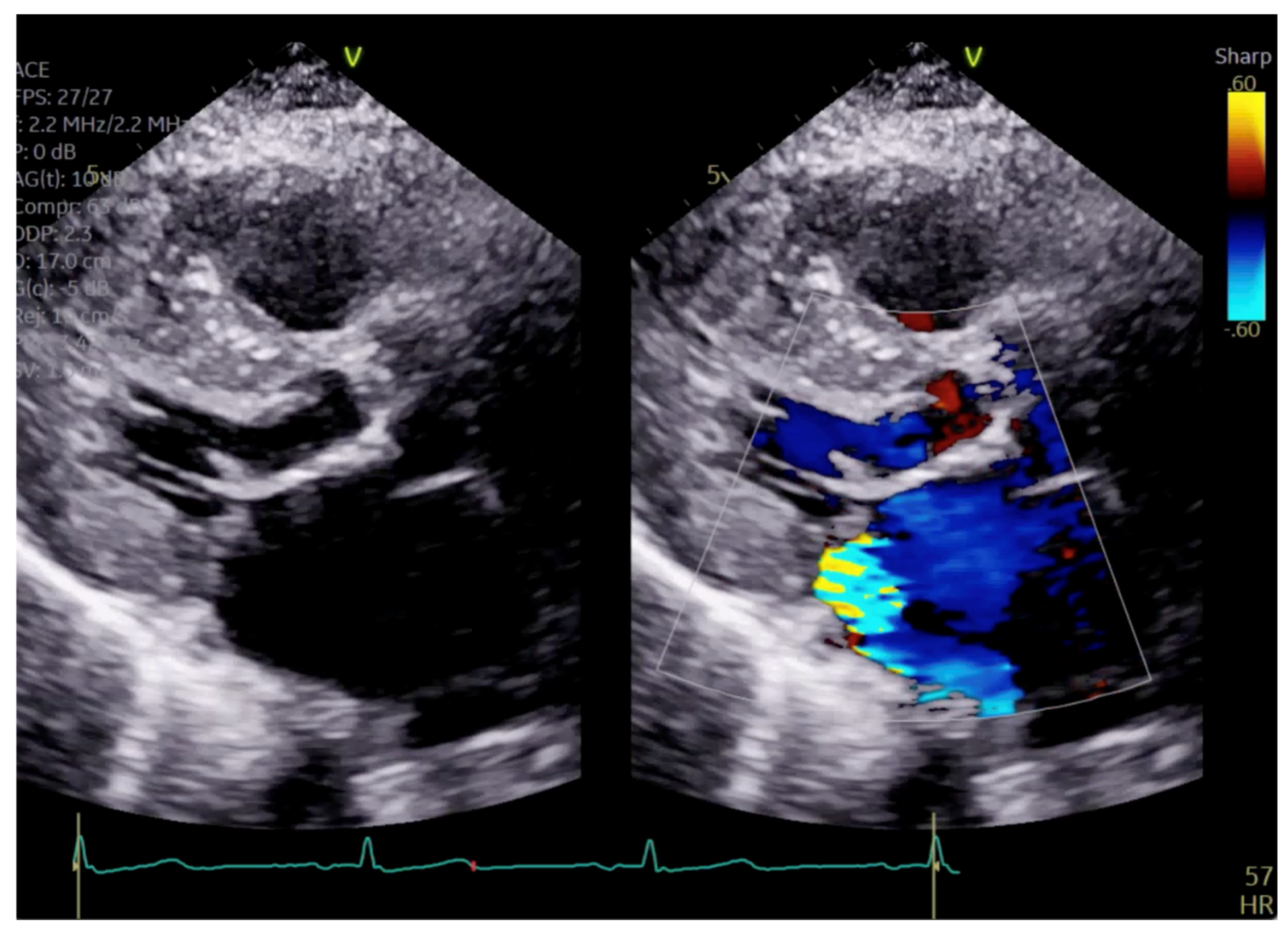 Reports 07 00116 g005