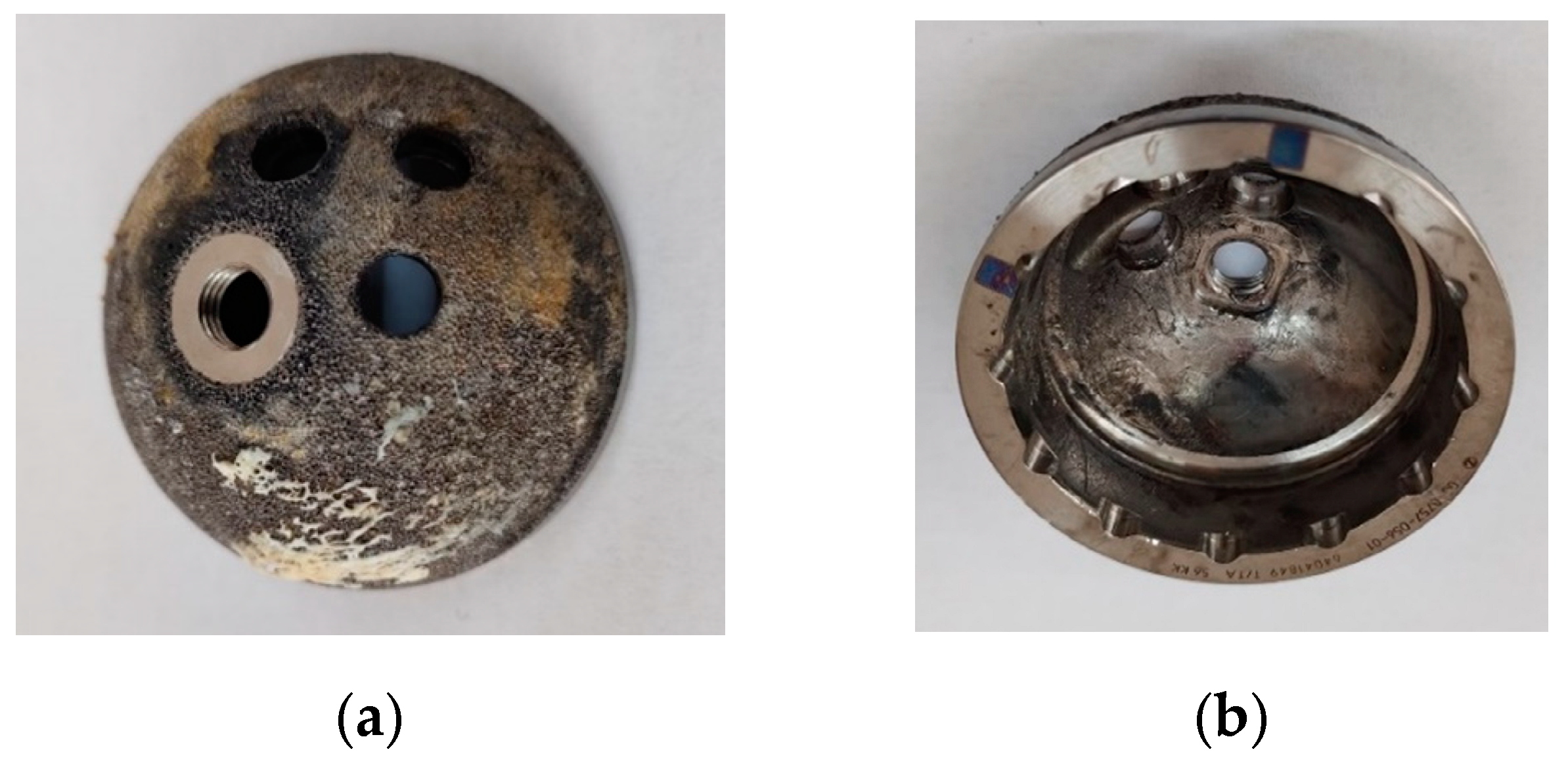 Reports 07 00117 g004