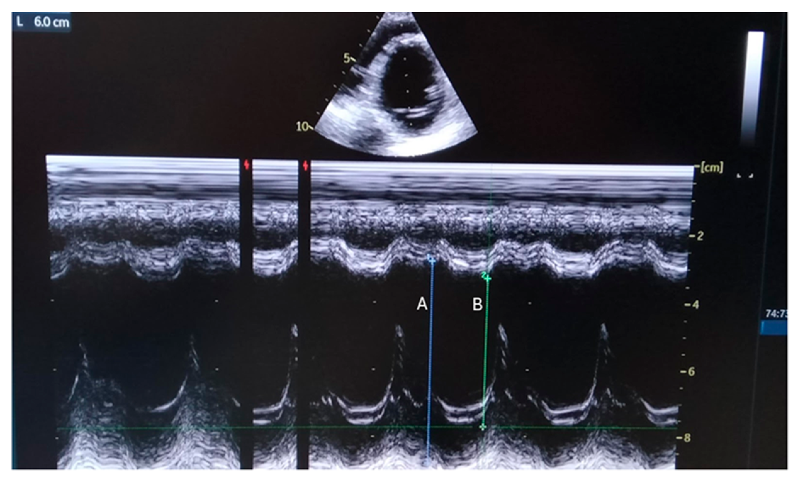 Reports 08 00002 g001