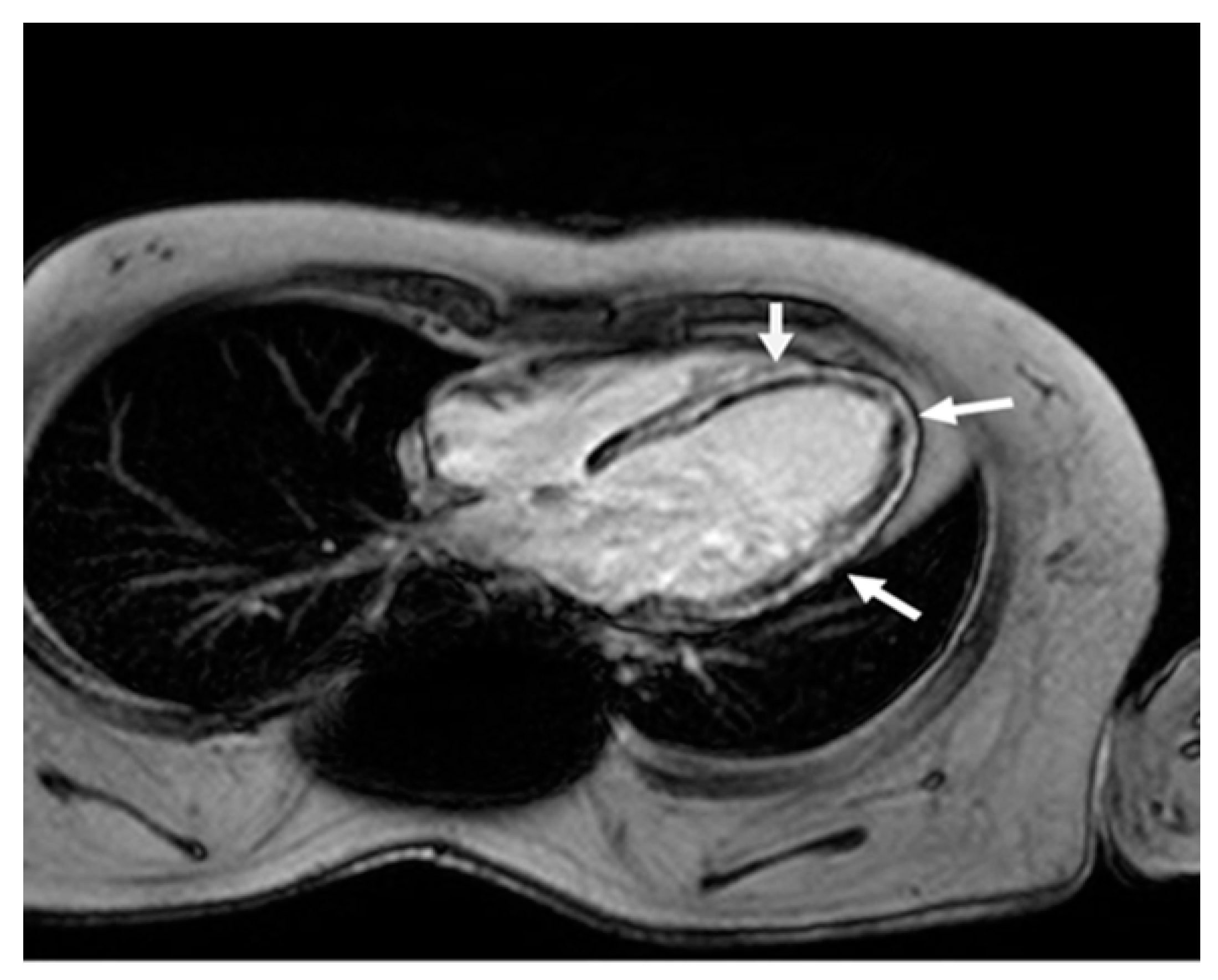 Reports 08 00002 g002