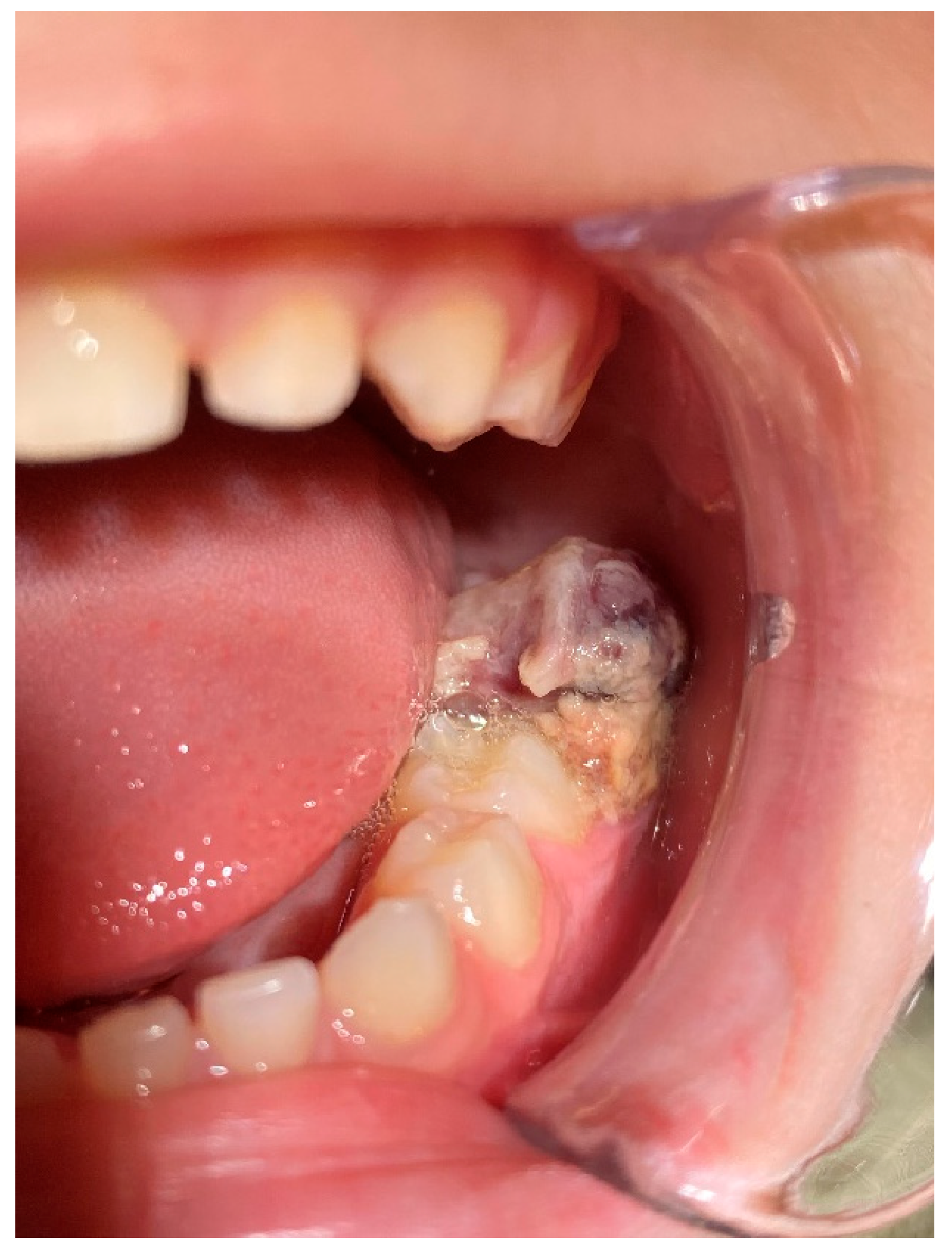 Reports 08 00003 g001