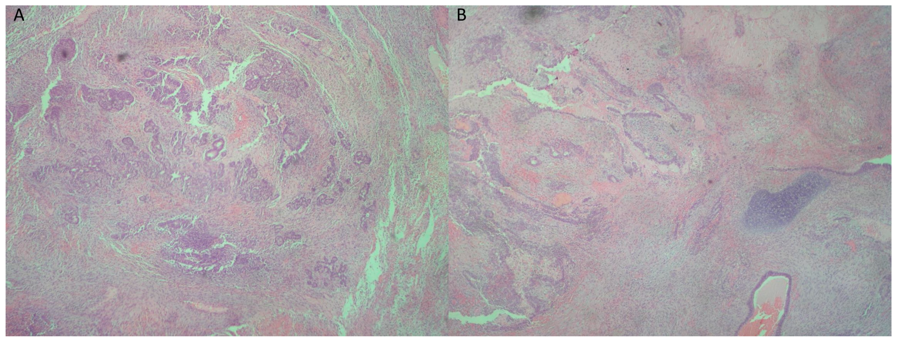 Reports 08 00003 g002