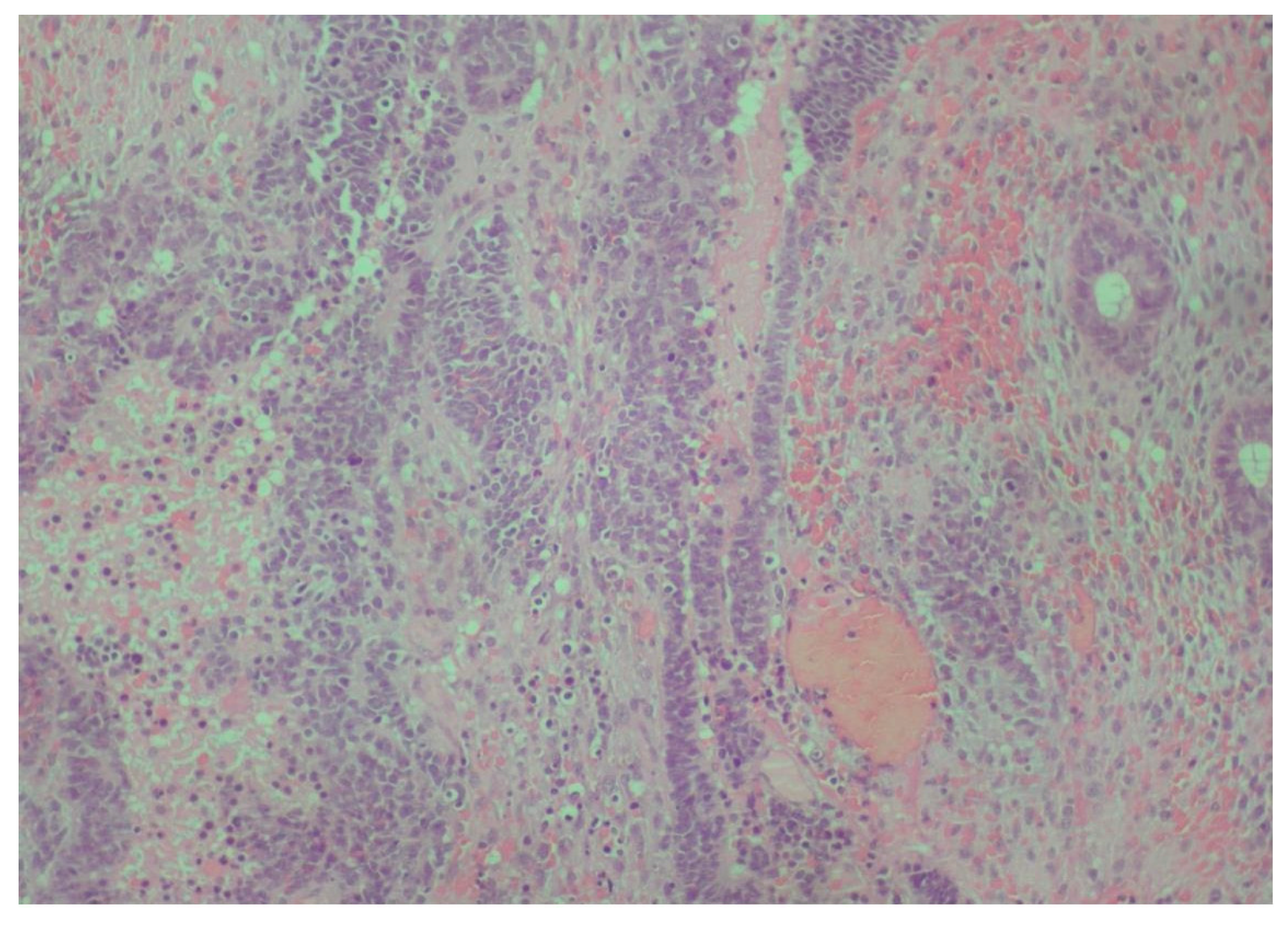 Reports 08 00003 g003