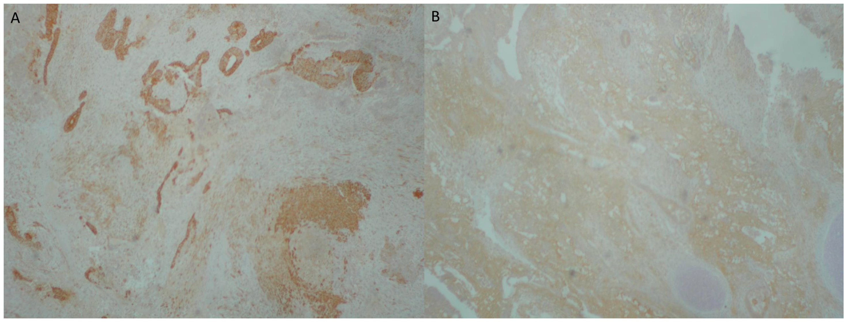 Reports 08 00003 g004