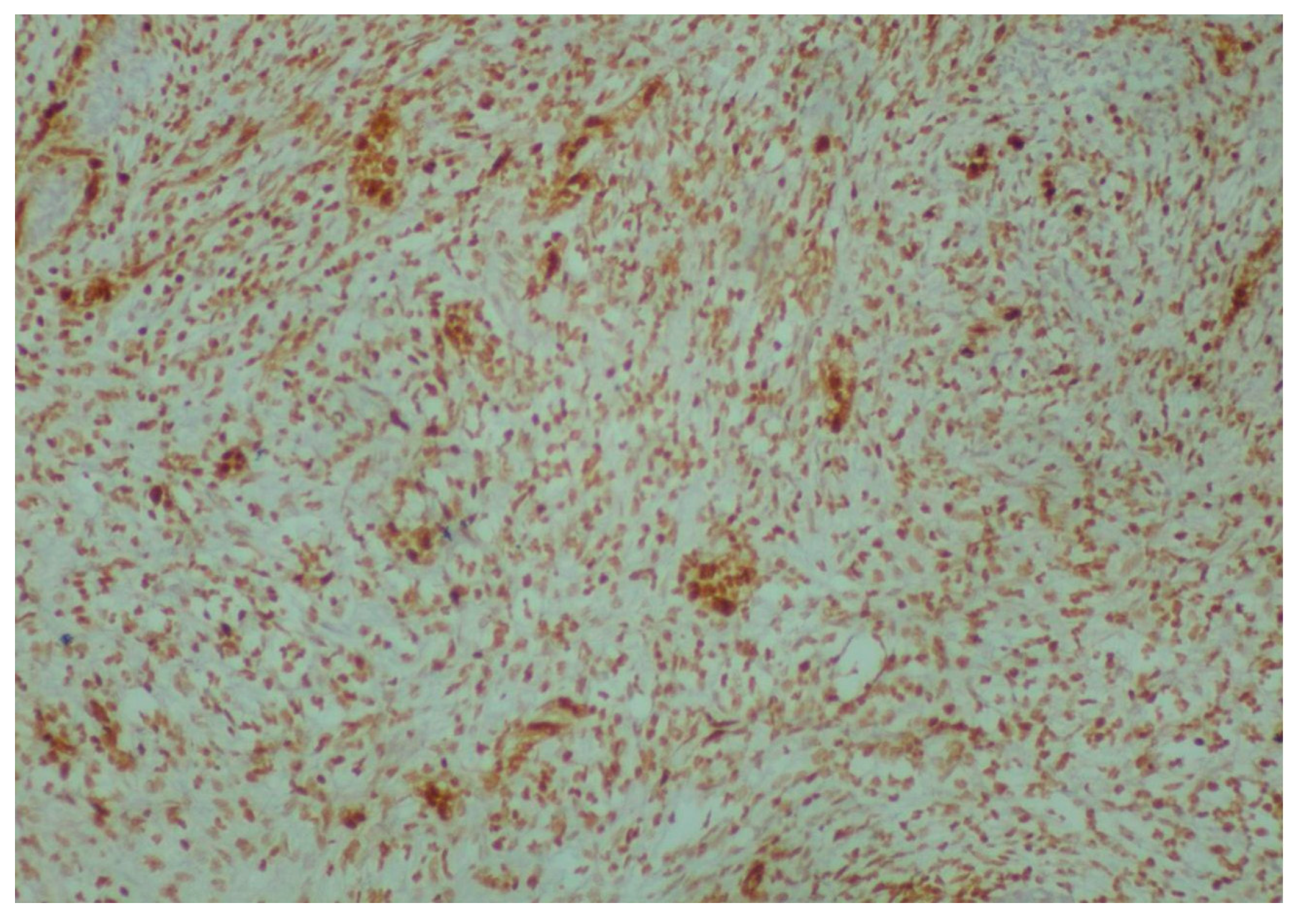 Reports 08 00003 g005