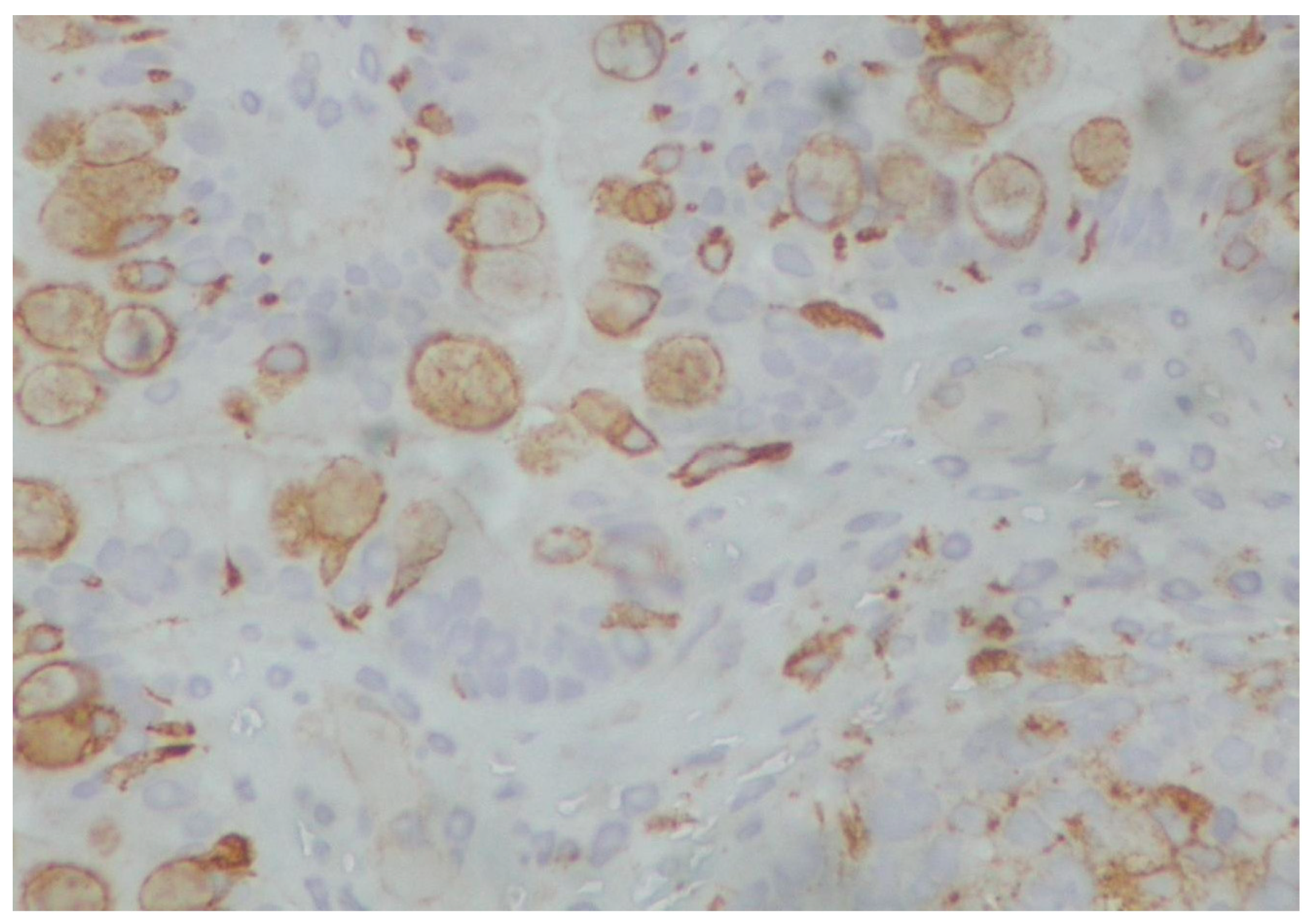 Reports 08 00003 g006