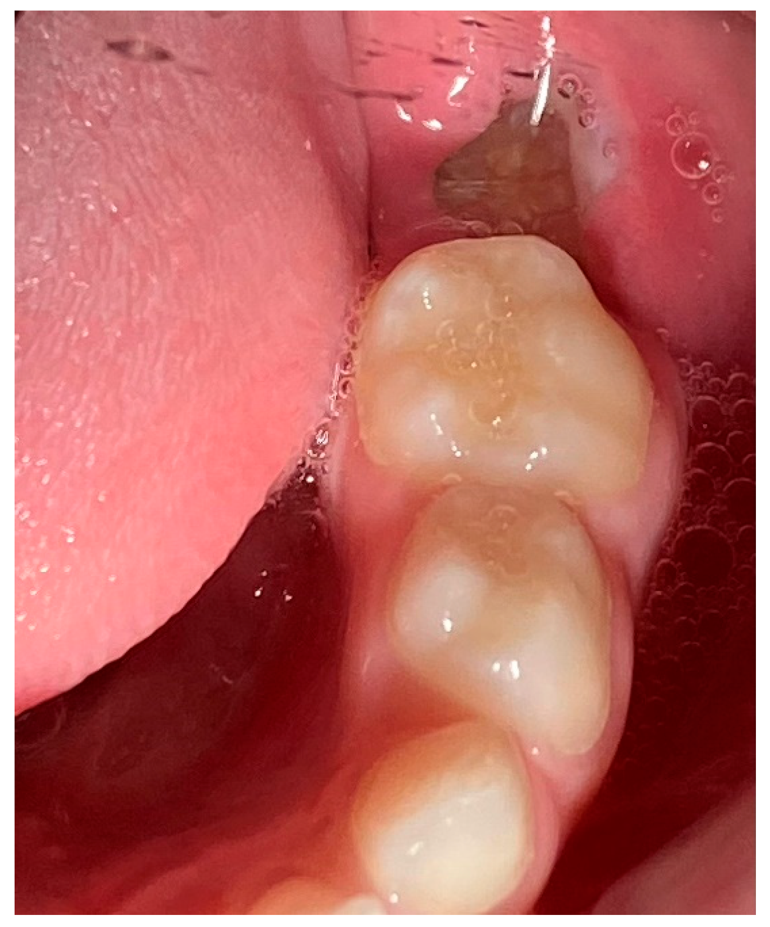 Reports 08 00003 g007