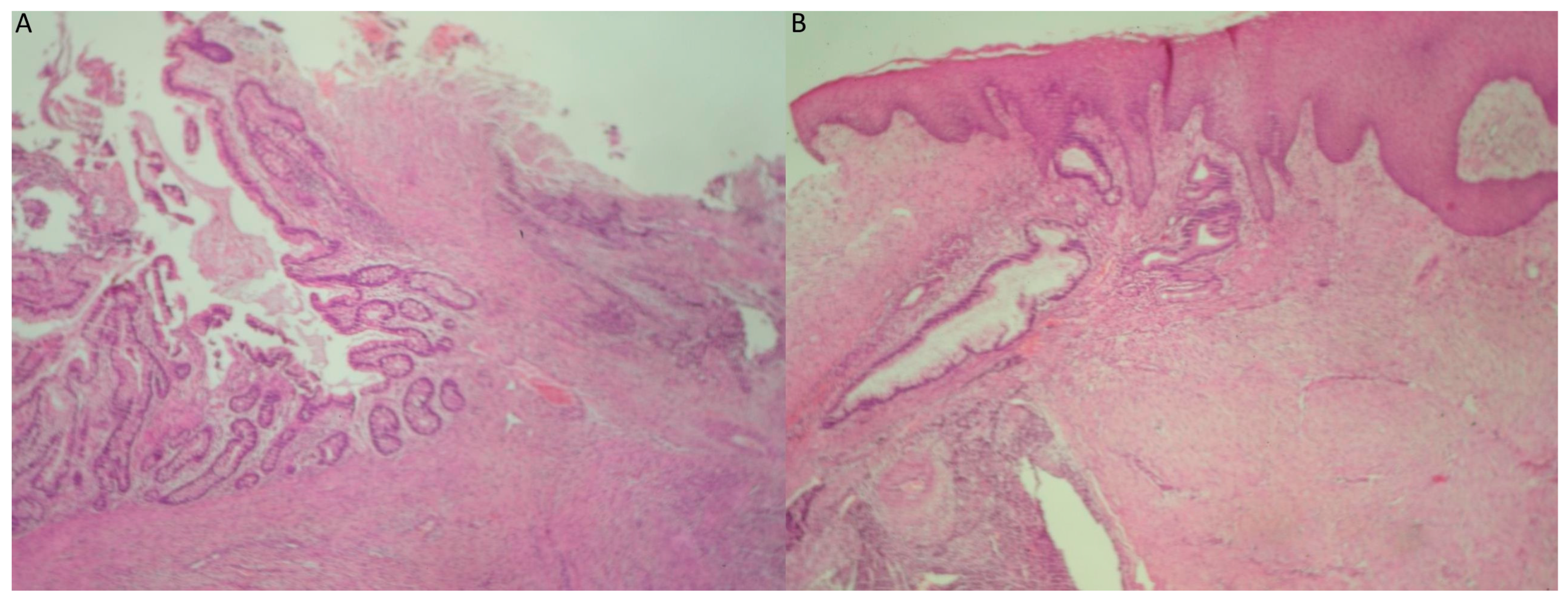 Reports 08 00003 g009