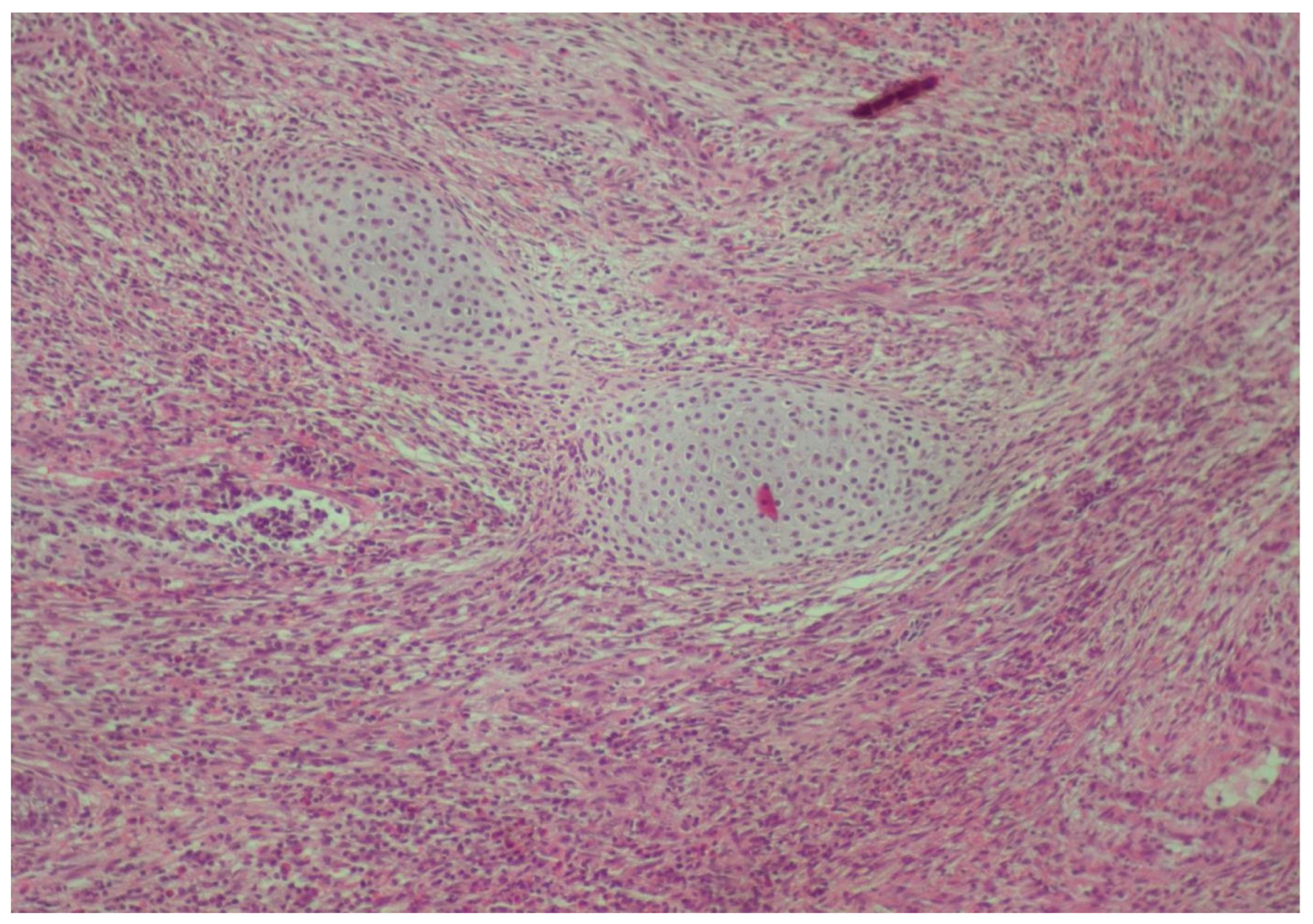 Reports 08 00003 g010