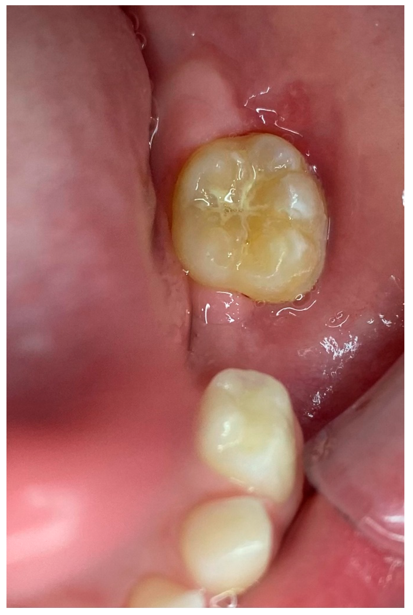 Reports 08 00003 g011