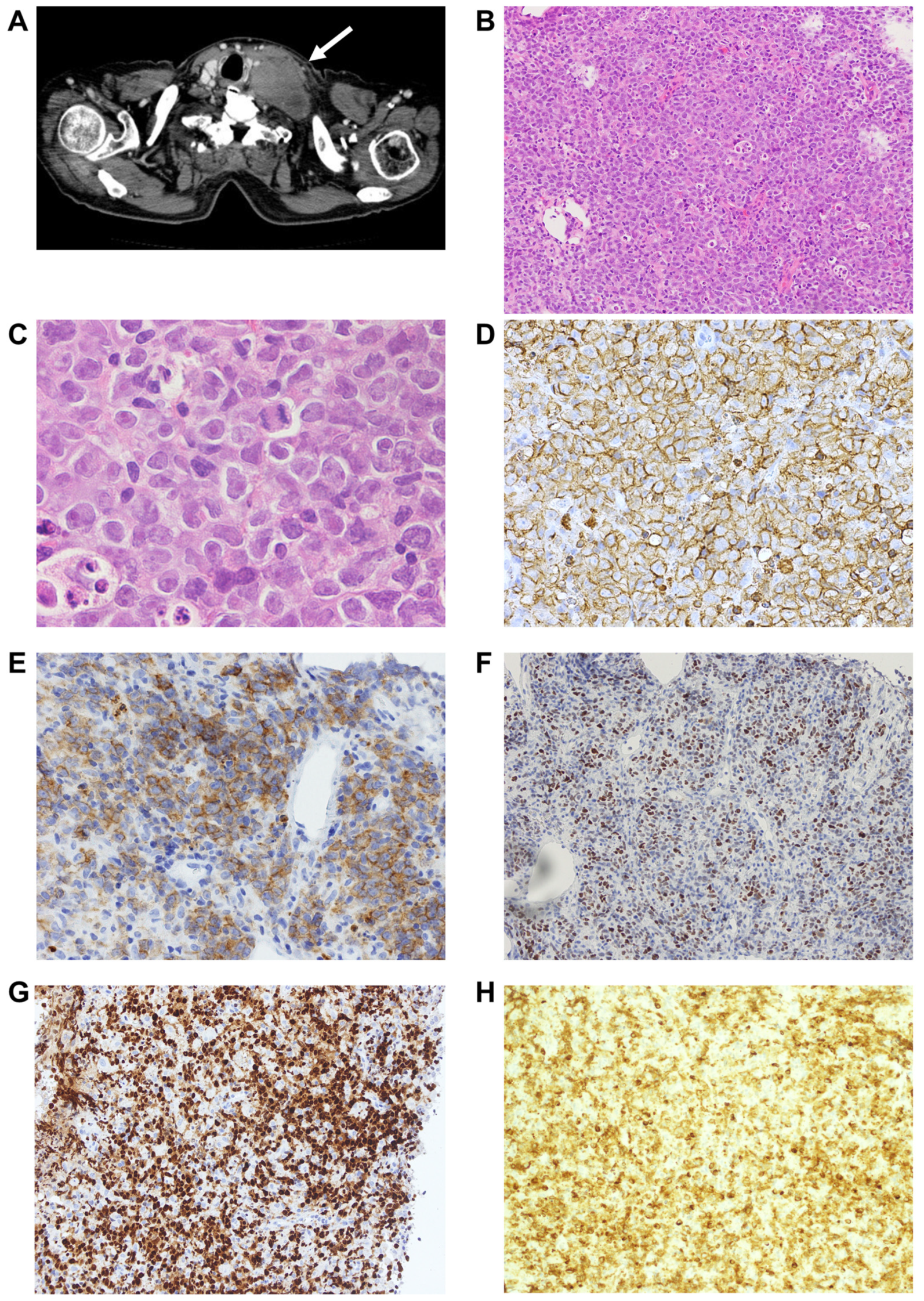 Reports 08 00005 g001 Reports 08 00005 g001