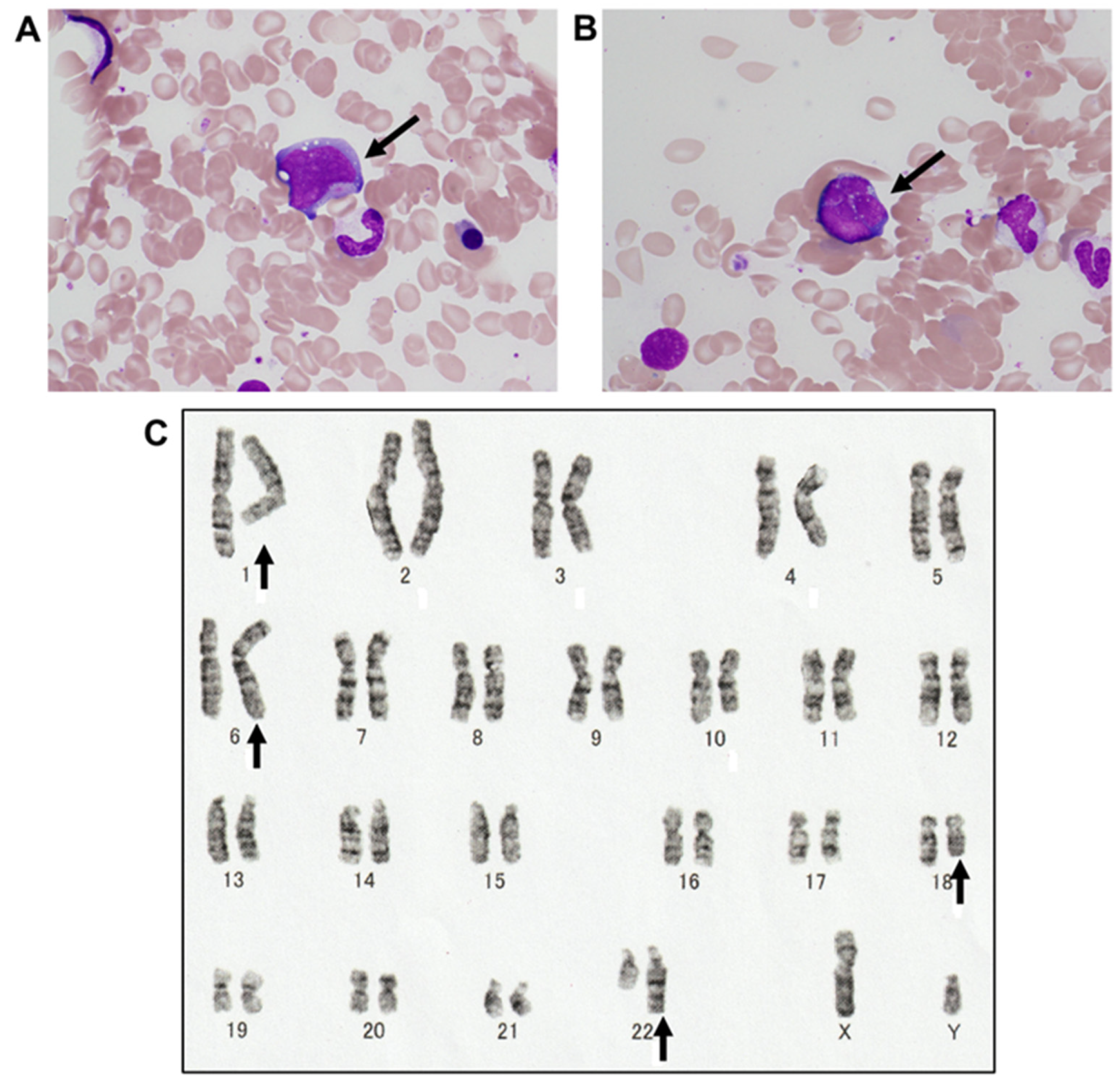 Reports 08 00005 g002 Reports 08 00005 g002