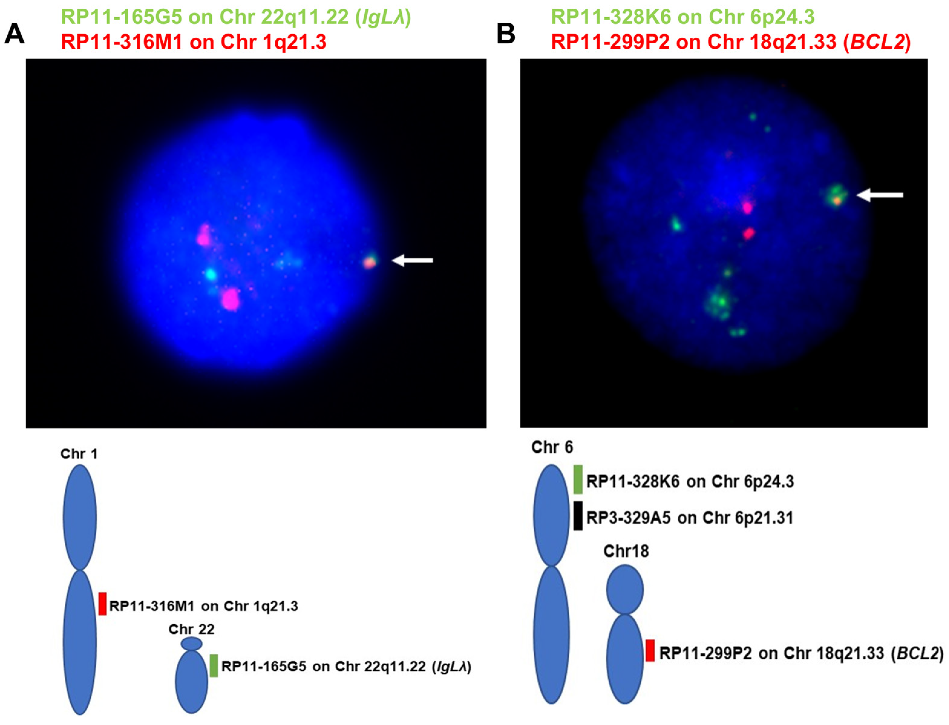 Reports 08 00005 g003 Reports 08 00005 g003