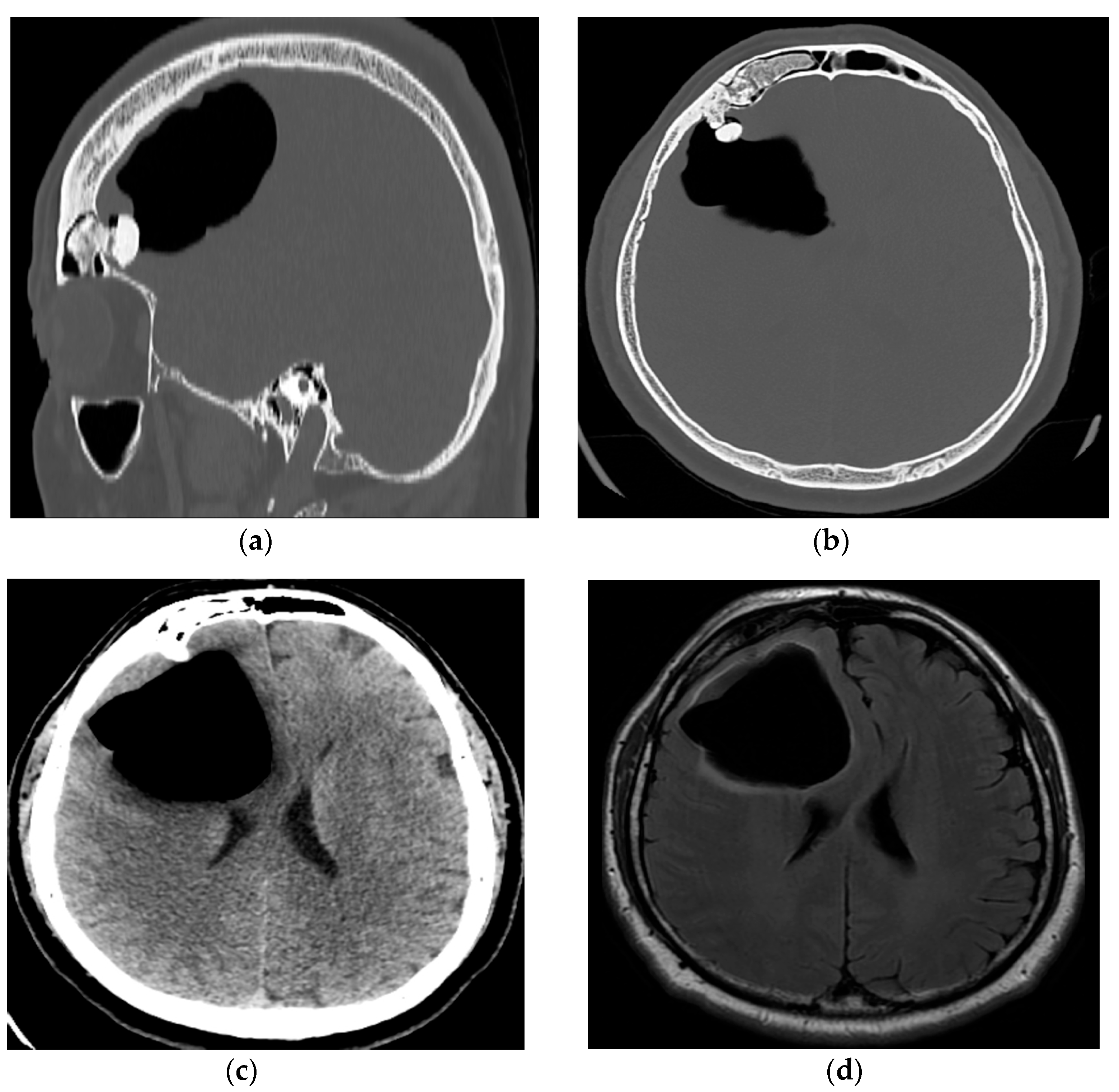 Reports 08 00010 g001 Reports 08 00010 g001