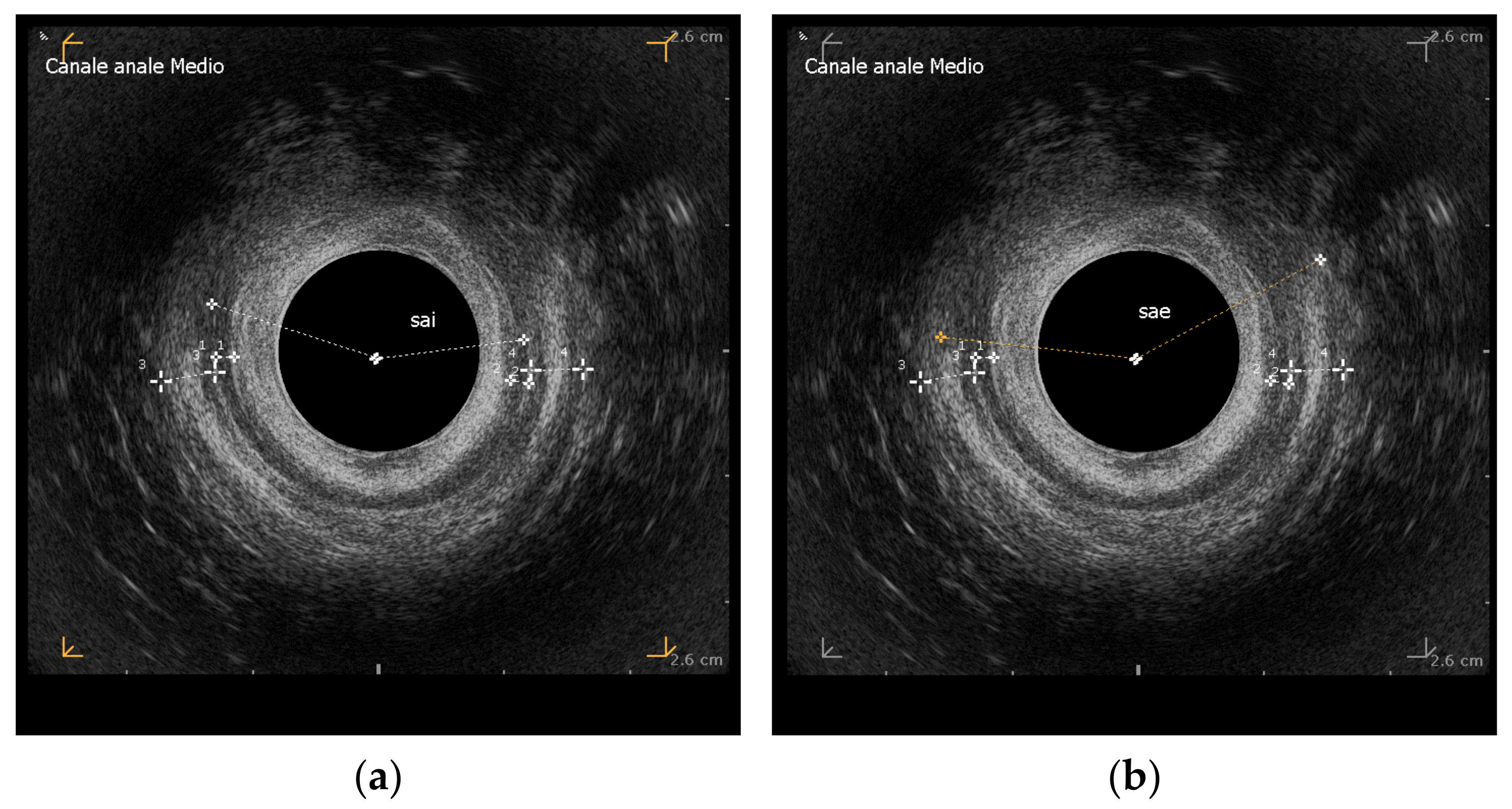 Reports 08 00011 g001 Reports 08 00011 g001