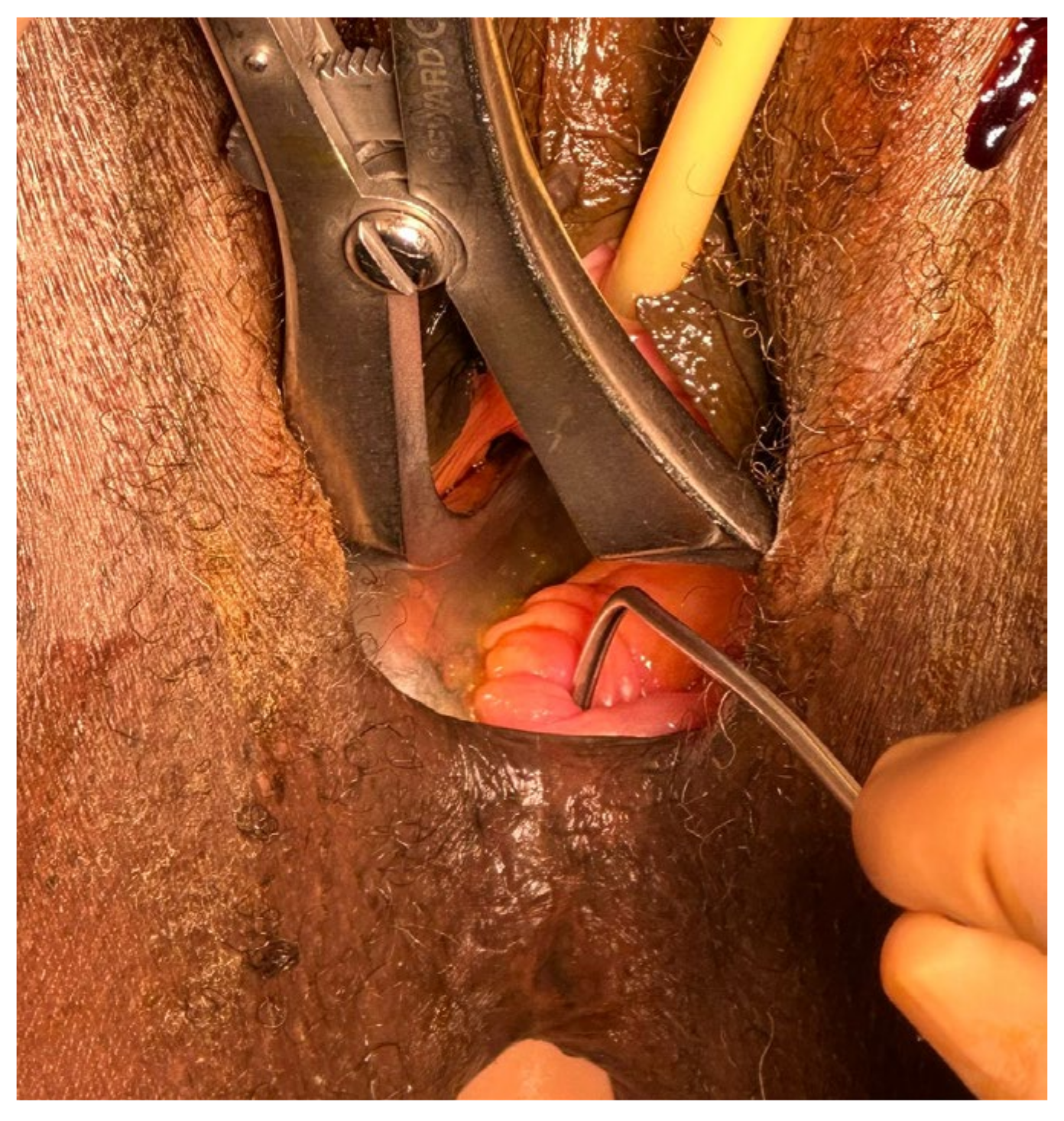 Reports 08 00011 g002 Reports 08 00011 g002