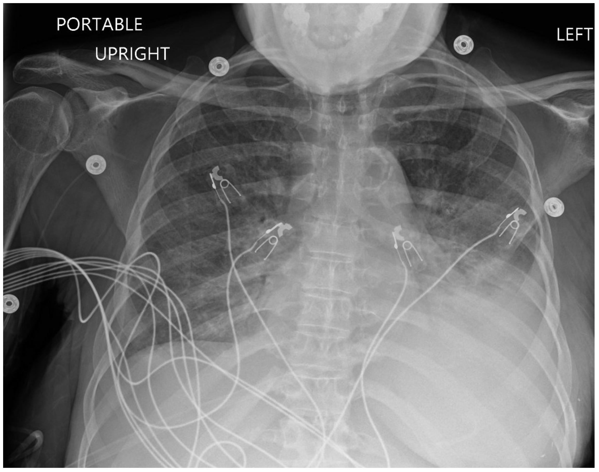 Reports 08 00016 g002