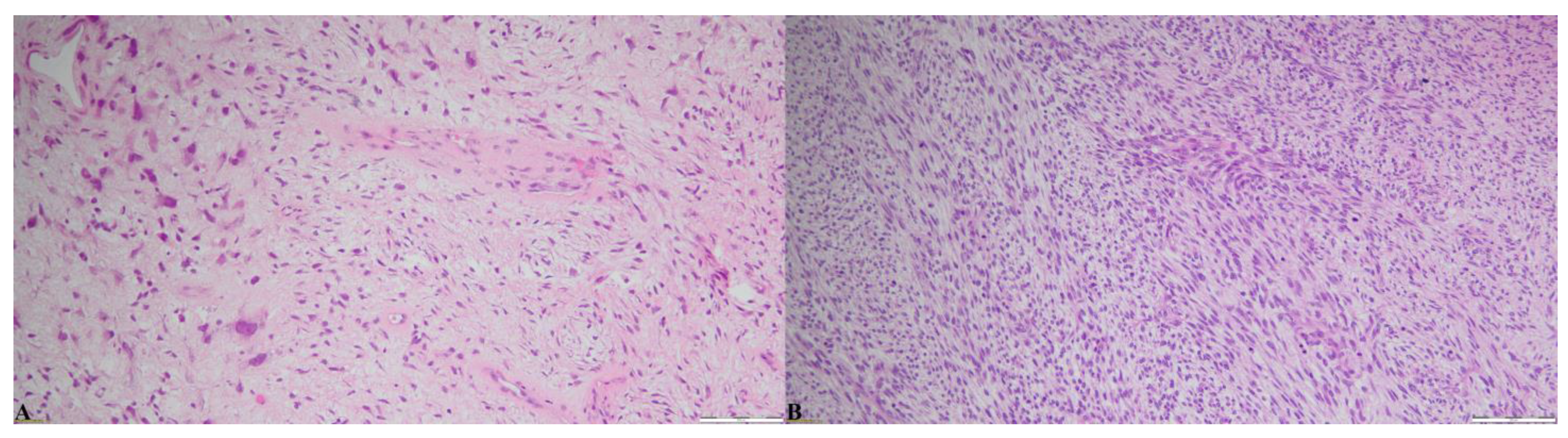 Reports 08 00017 g006