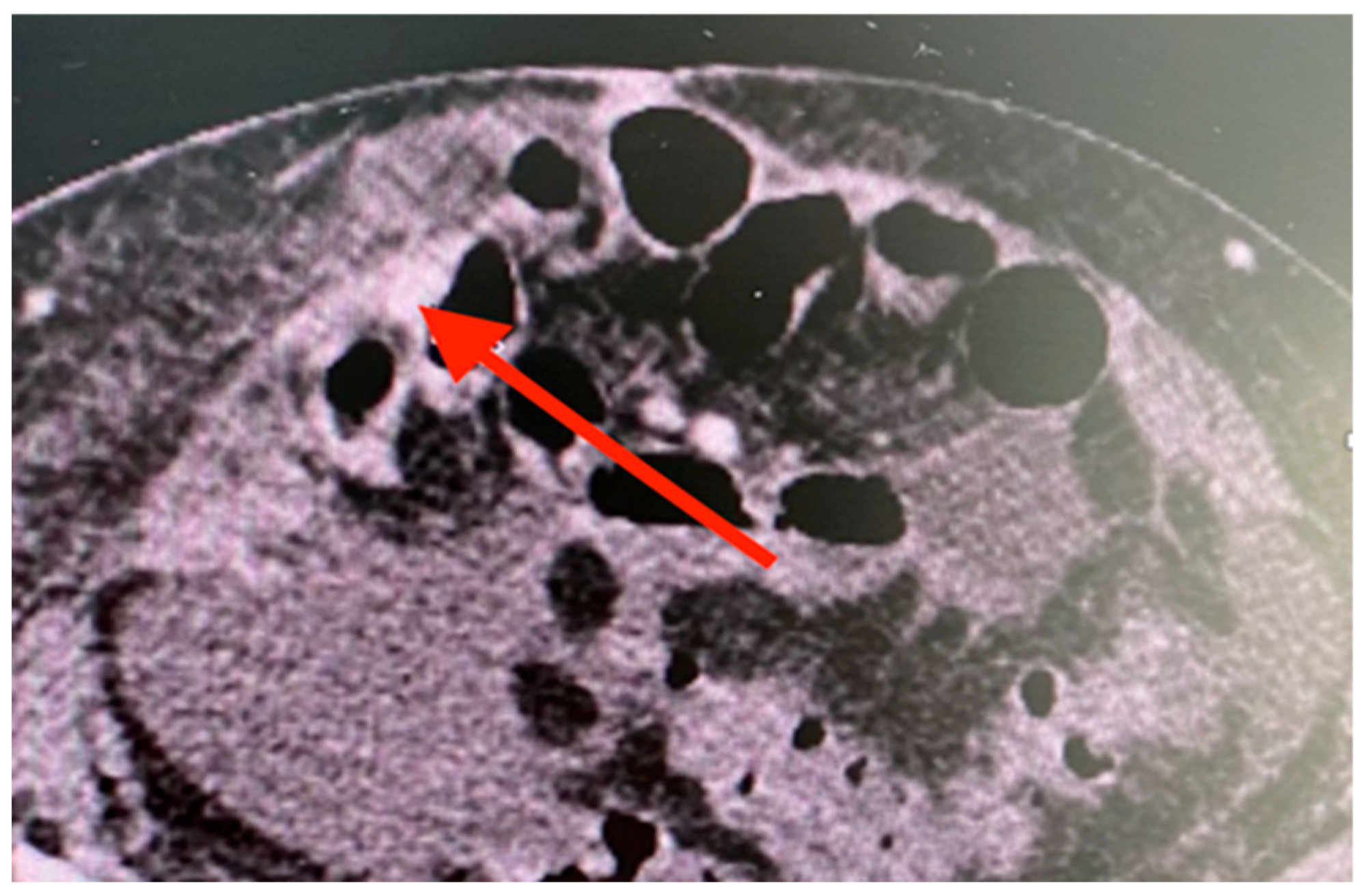 Reports 08 00018 g001 Reports 08 00018 g001