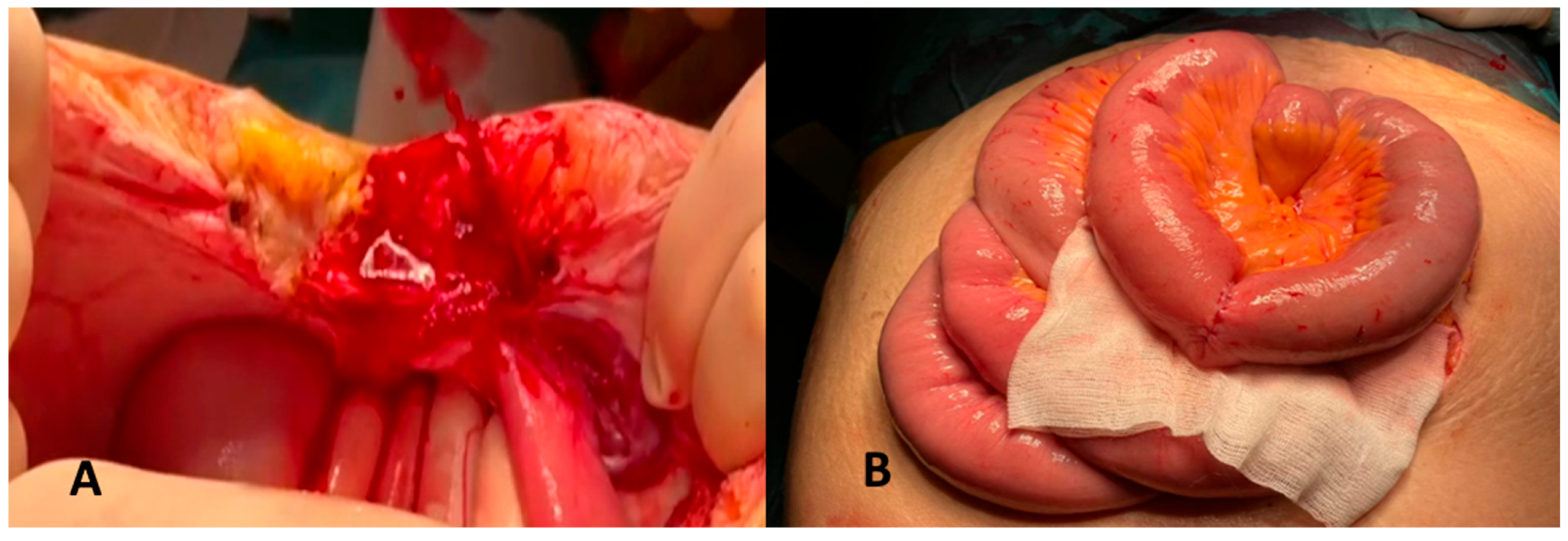 Reports 08 00018 g003 Reports 08 00018 g003