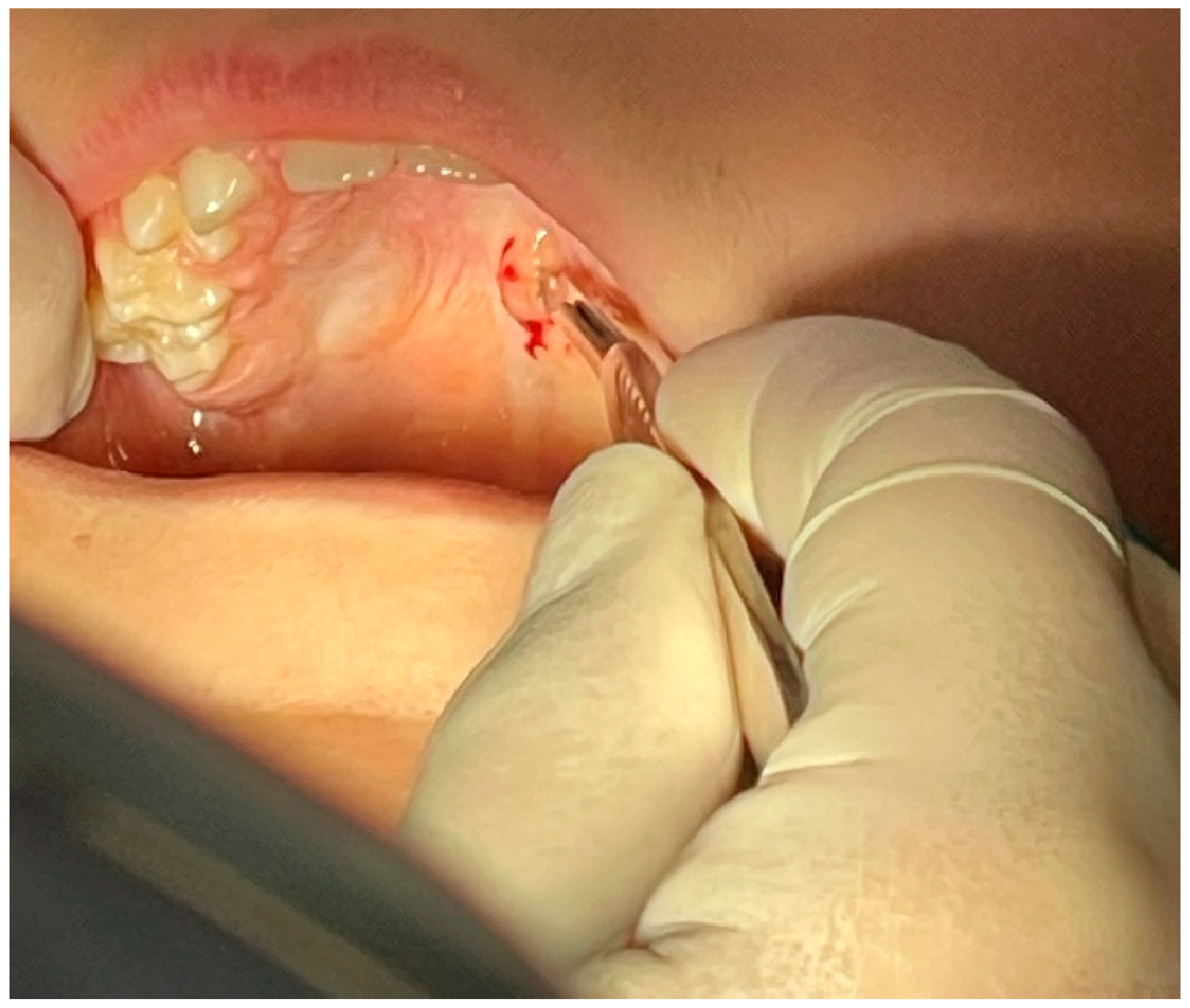 Reports 08 00019 g003