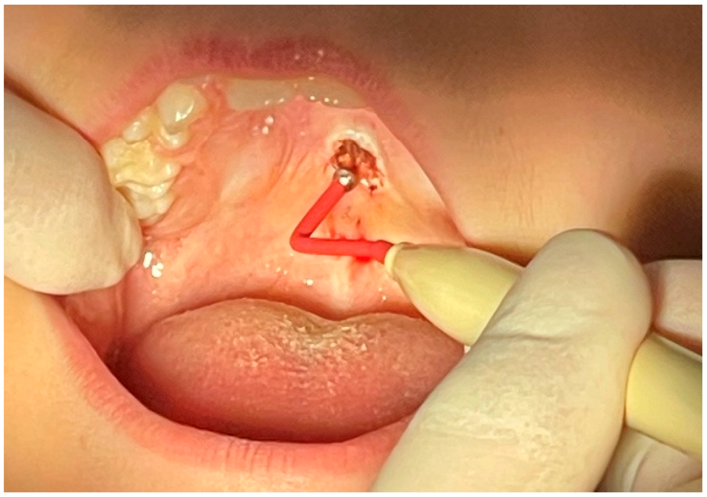 Reports 08 00019 g004