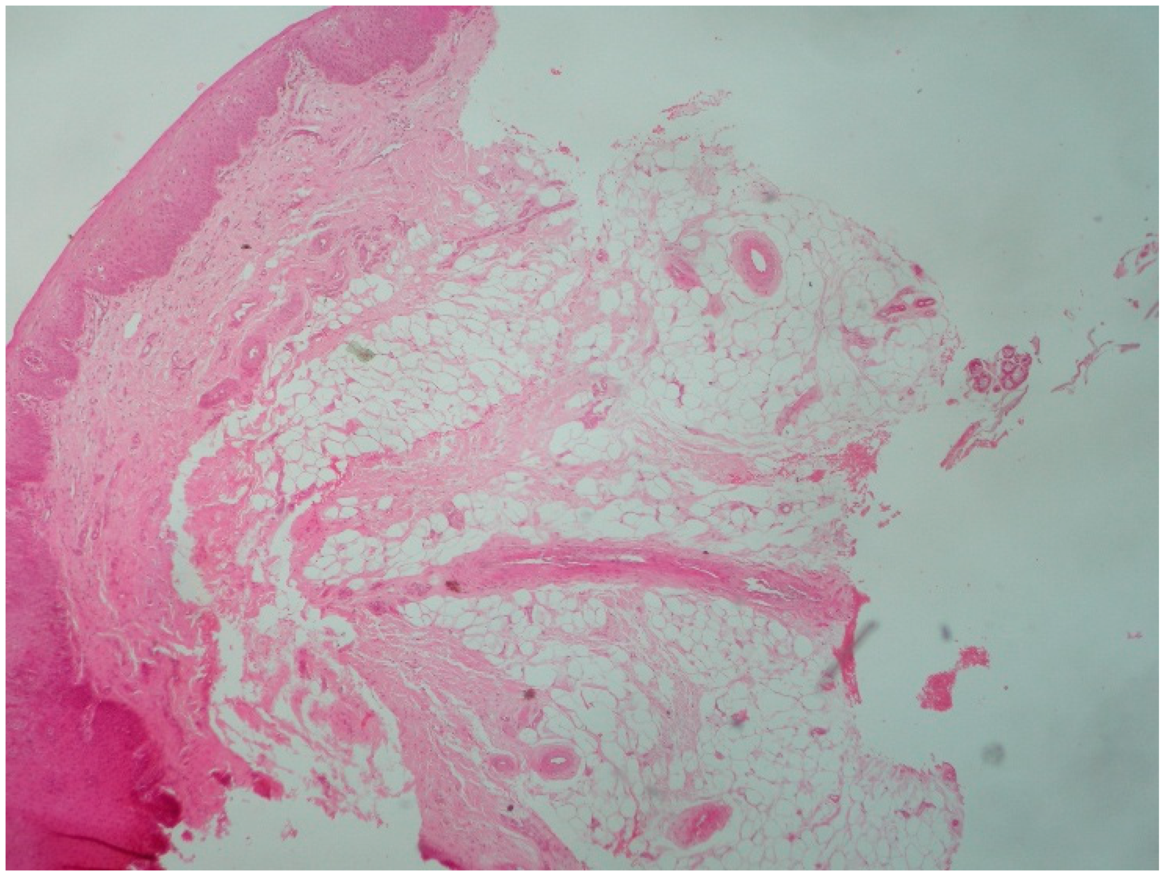 Reports 08 00019 g005