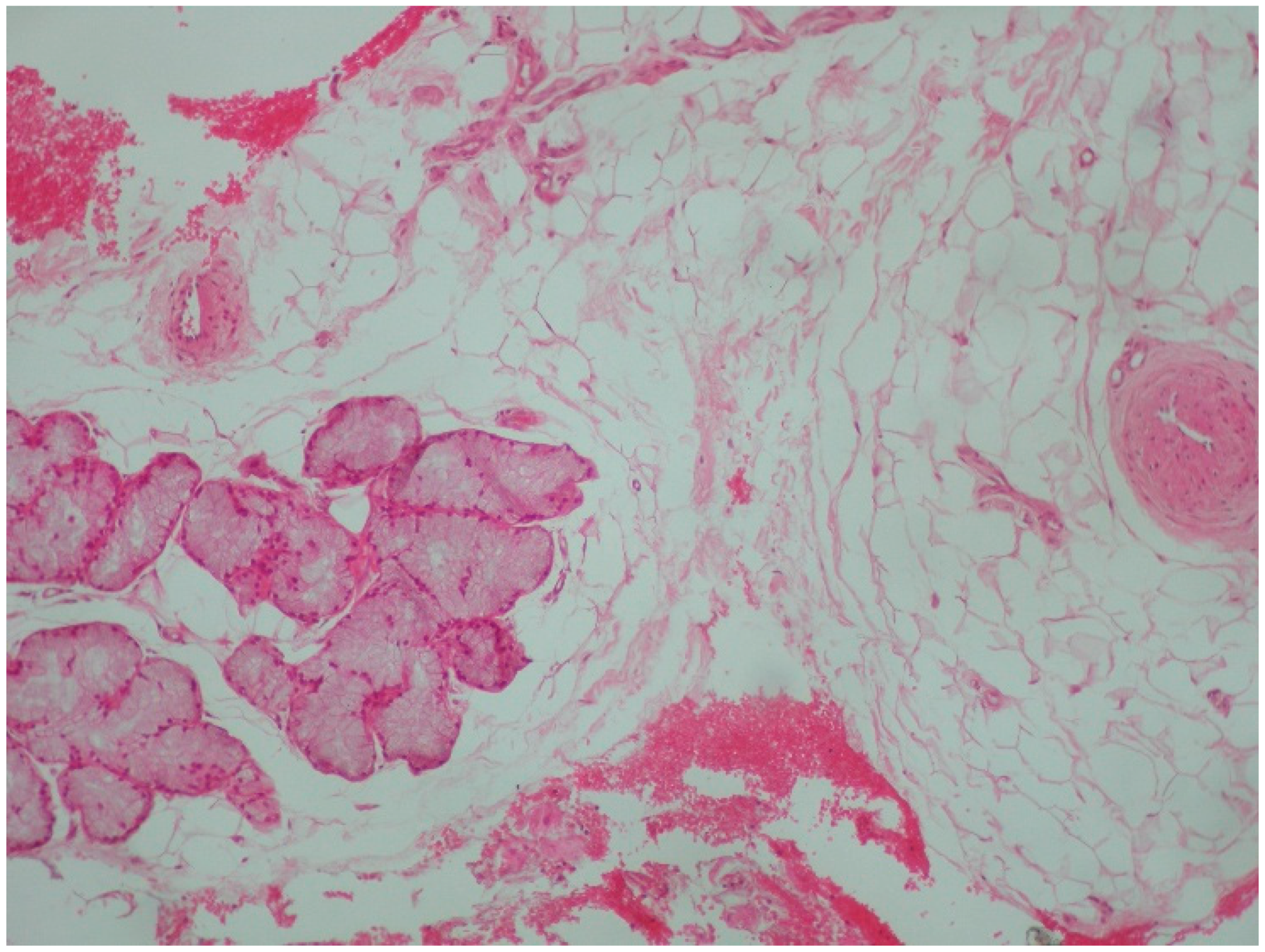 Reports 08 00019 g006