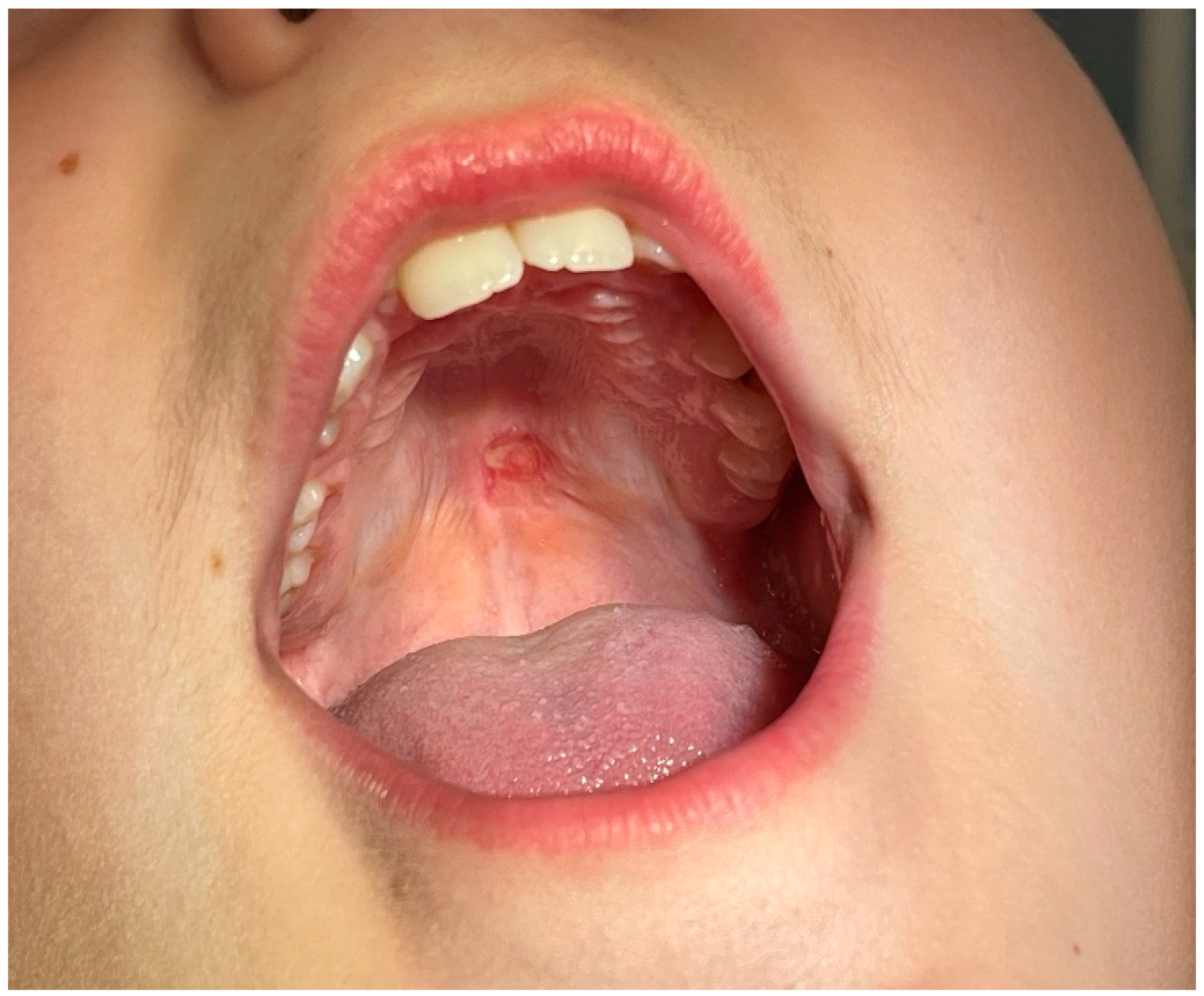 Reports 08 00019 g007