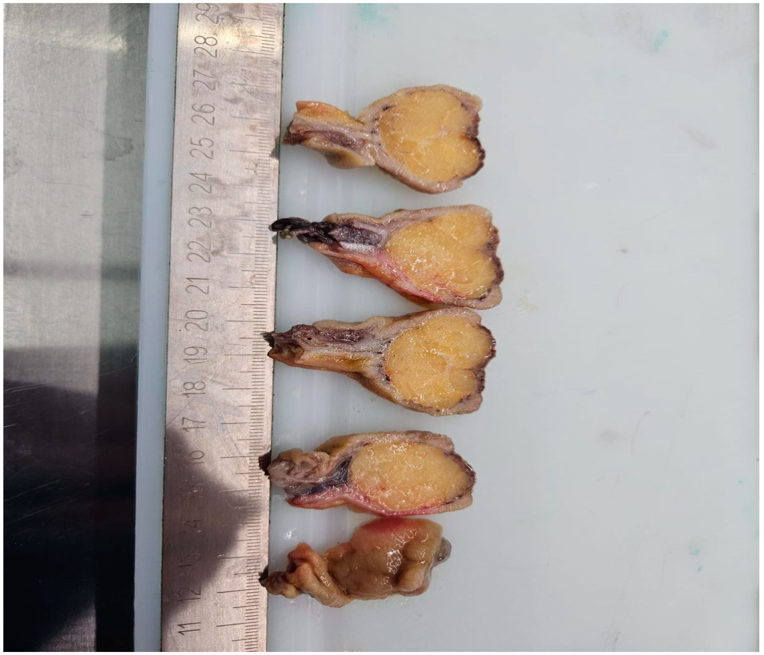 Reports 08 00021 g007