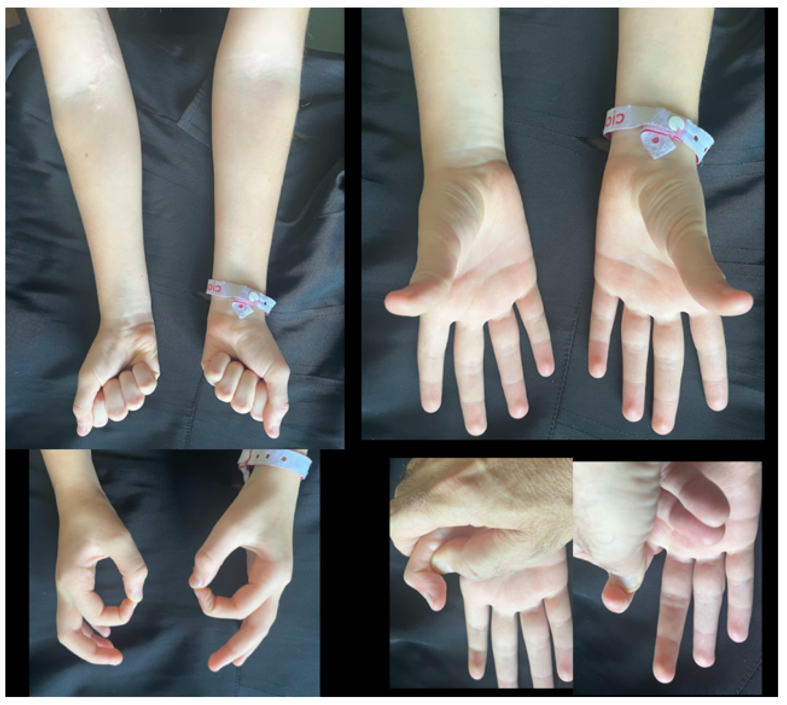 Reports 08 00023 g003