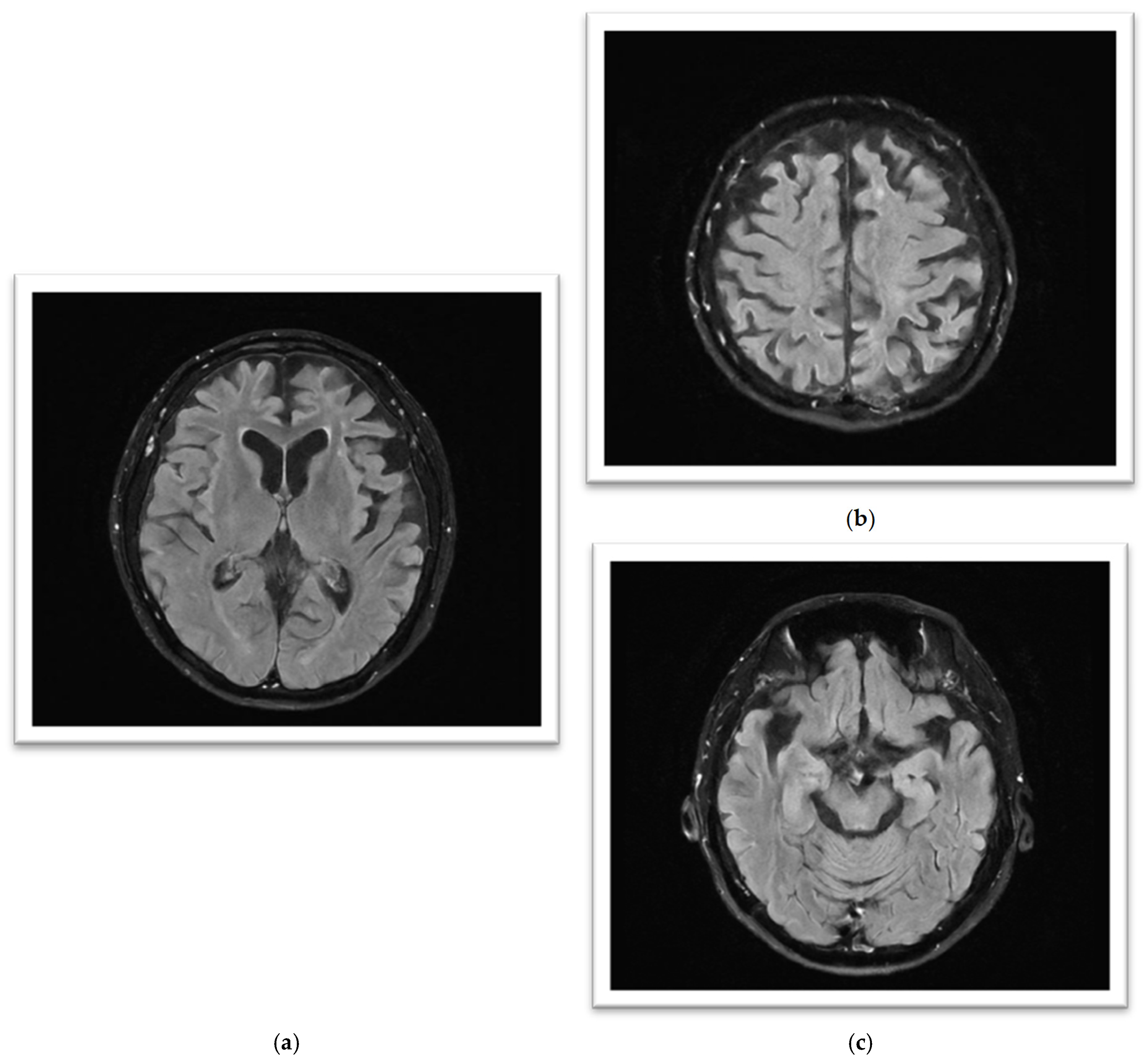 Reports 08 00024 g002