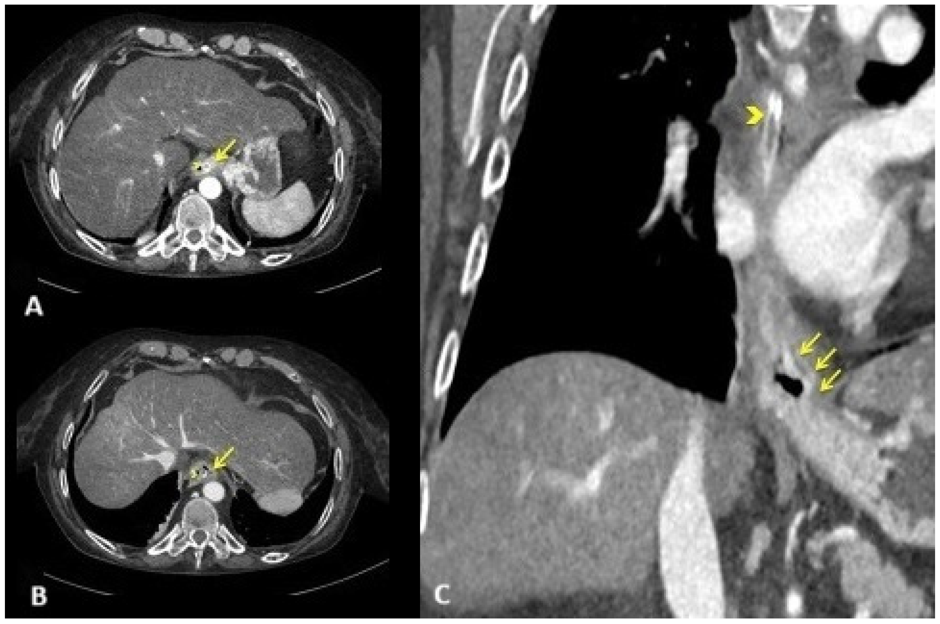 Reports 08 00025 g001