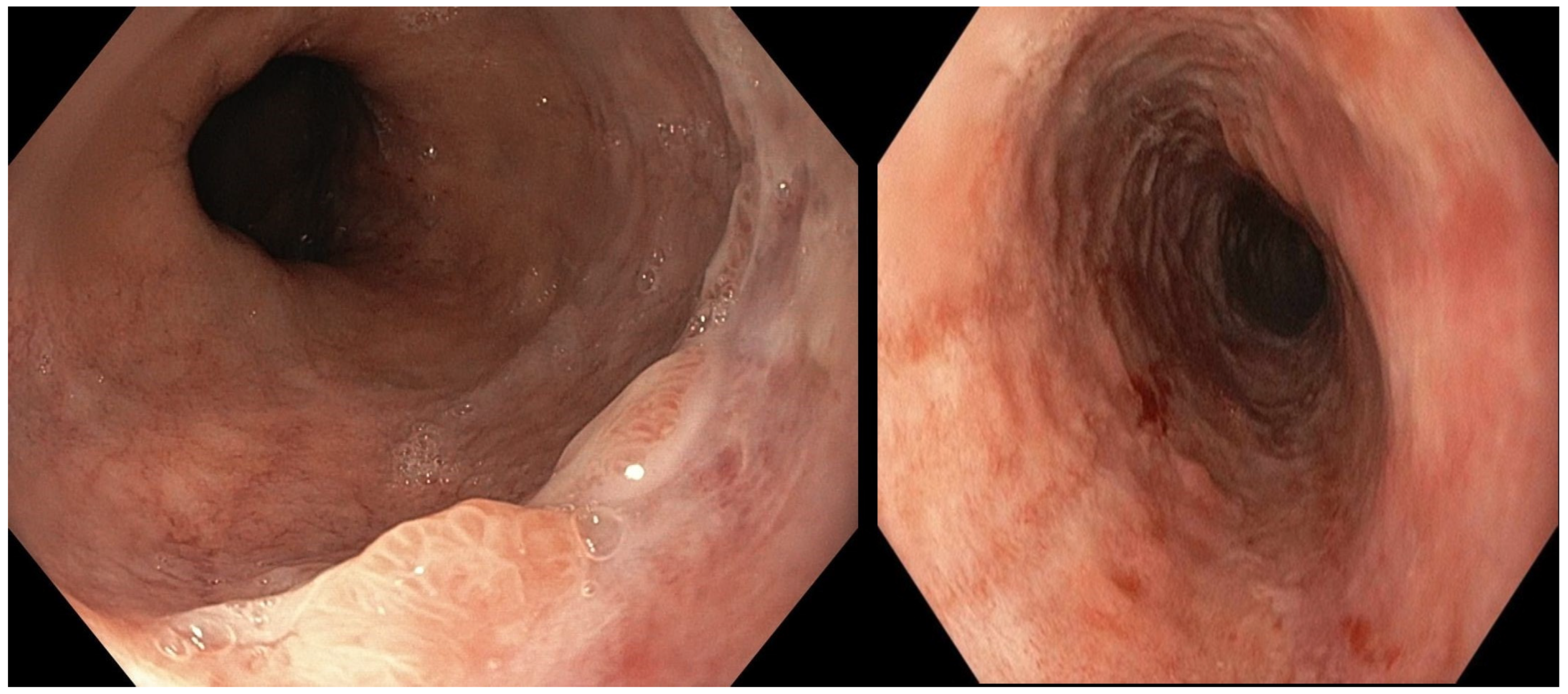 Reports 08 00025 g003