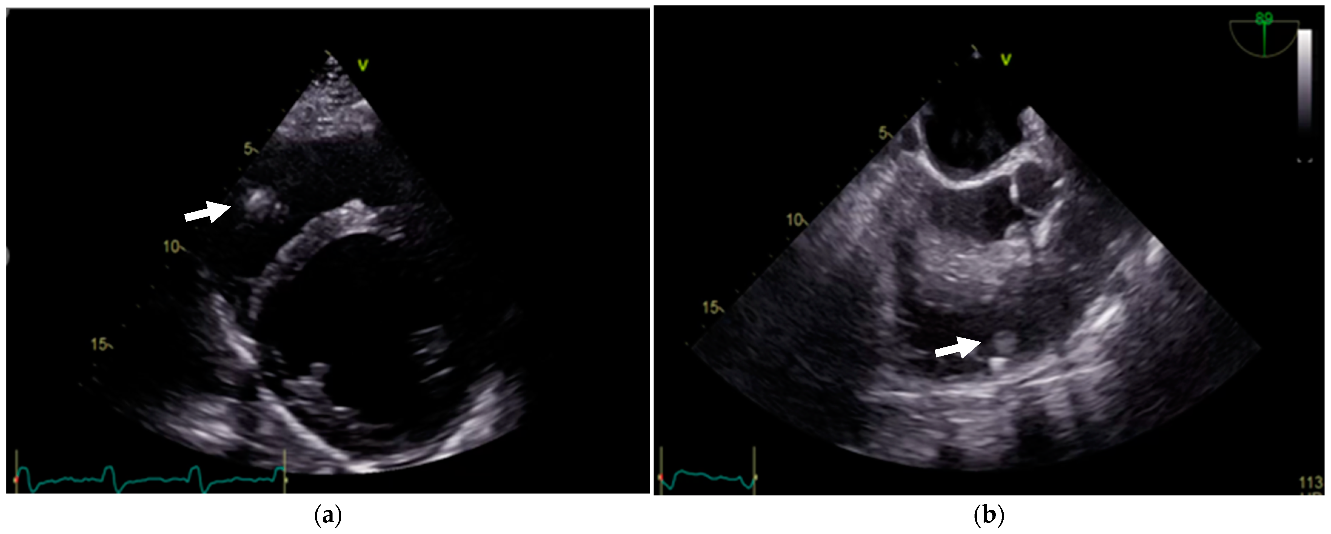 Reports 08 00030 g004