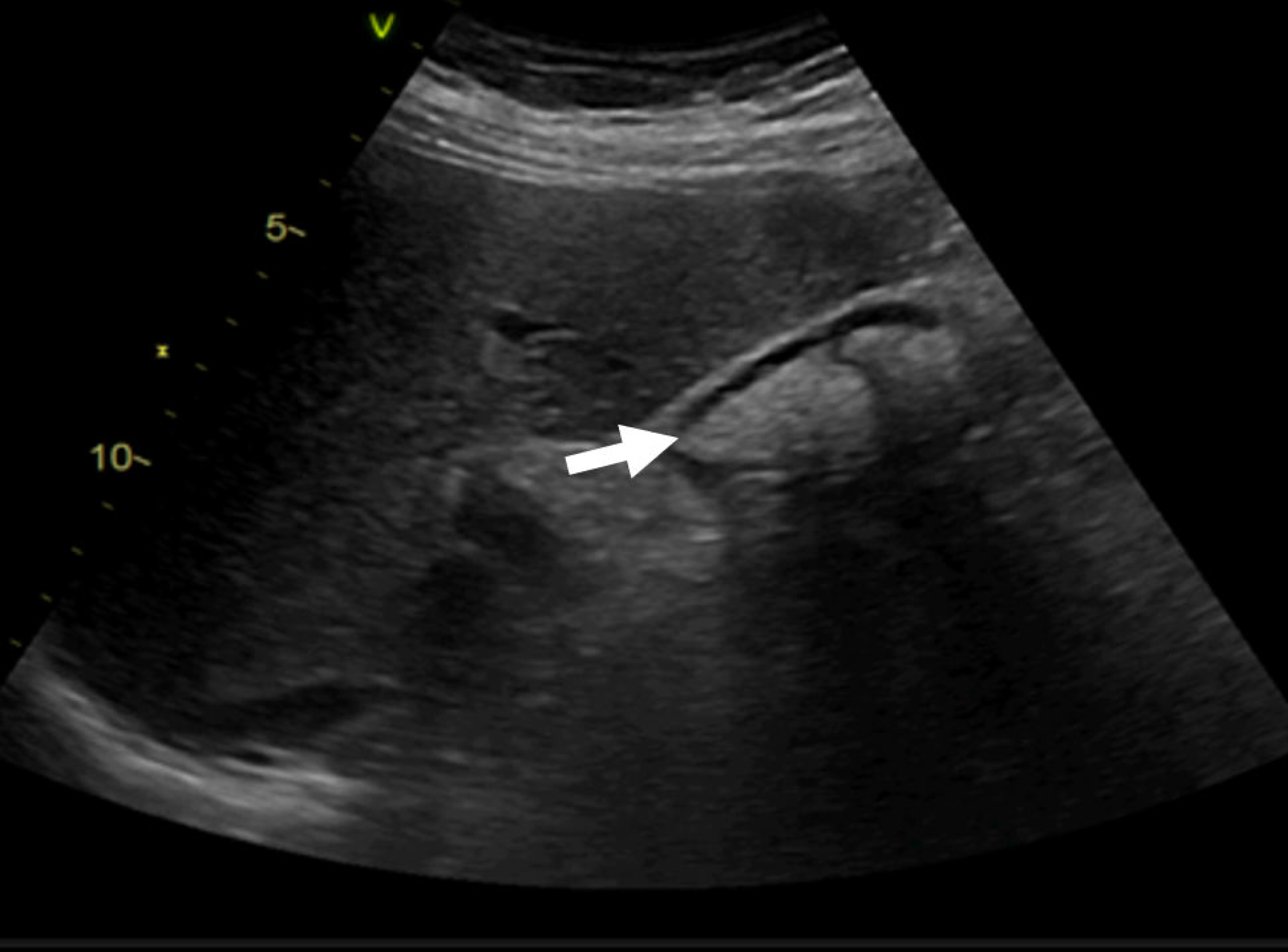 Reports 08 00030 g005