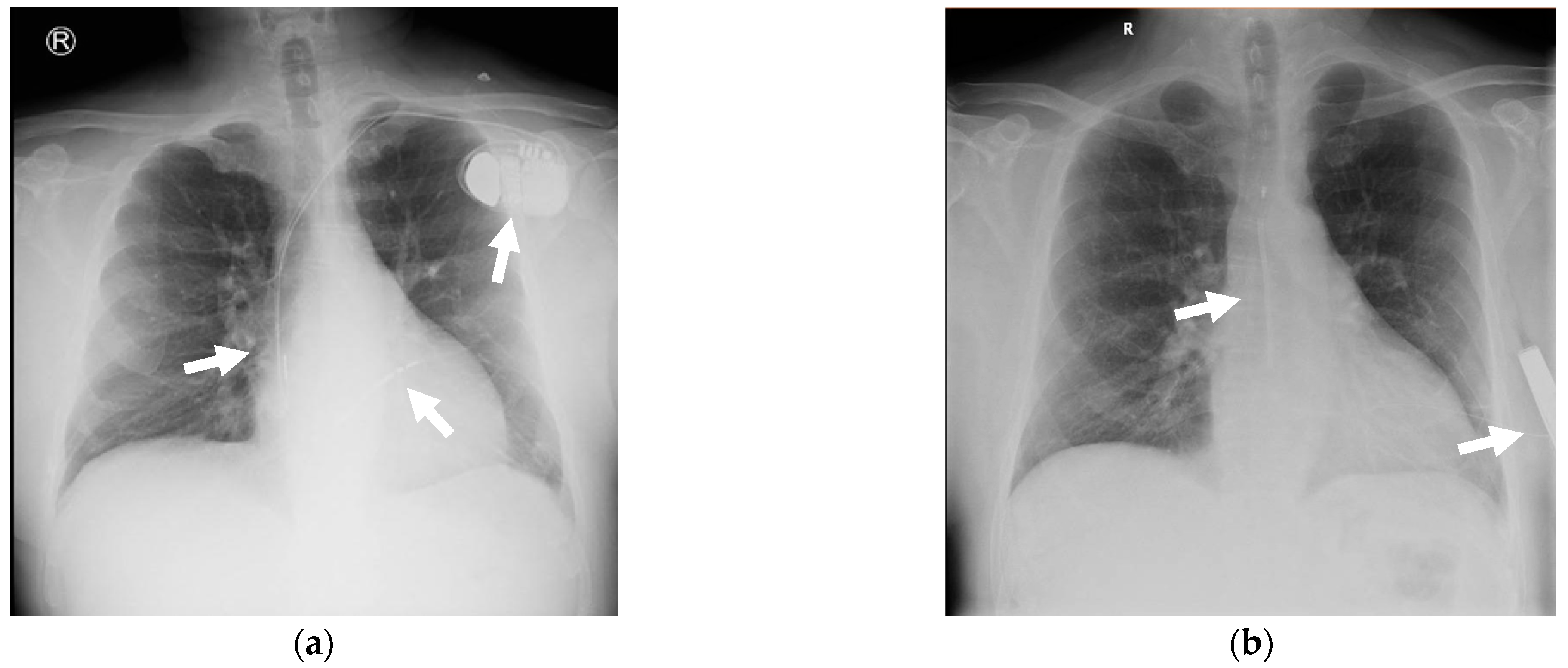 Reports 08 00030 g007