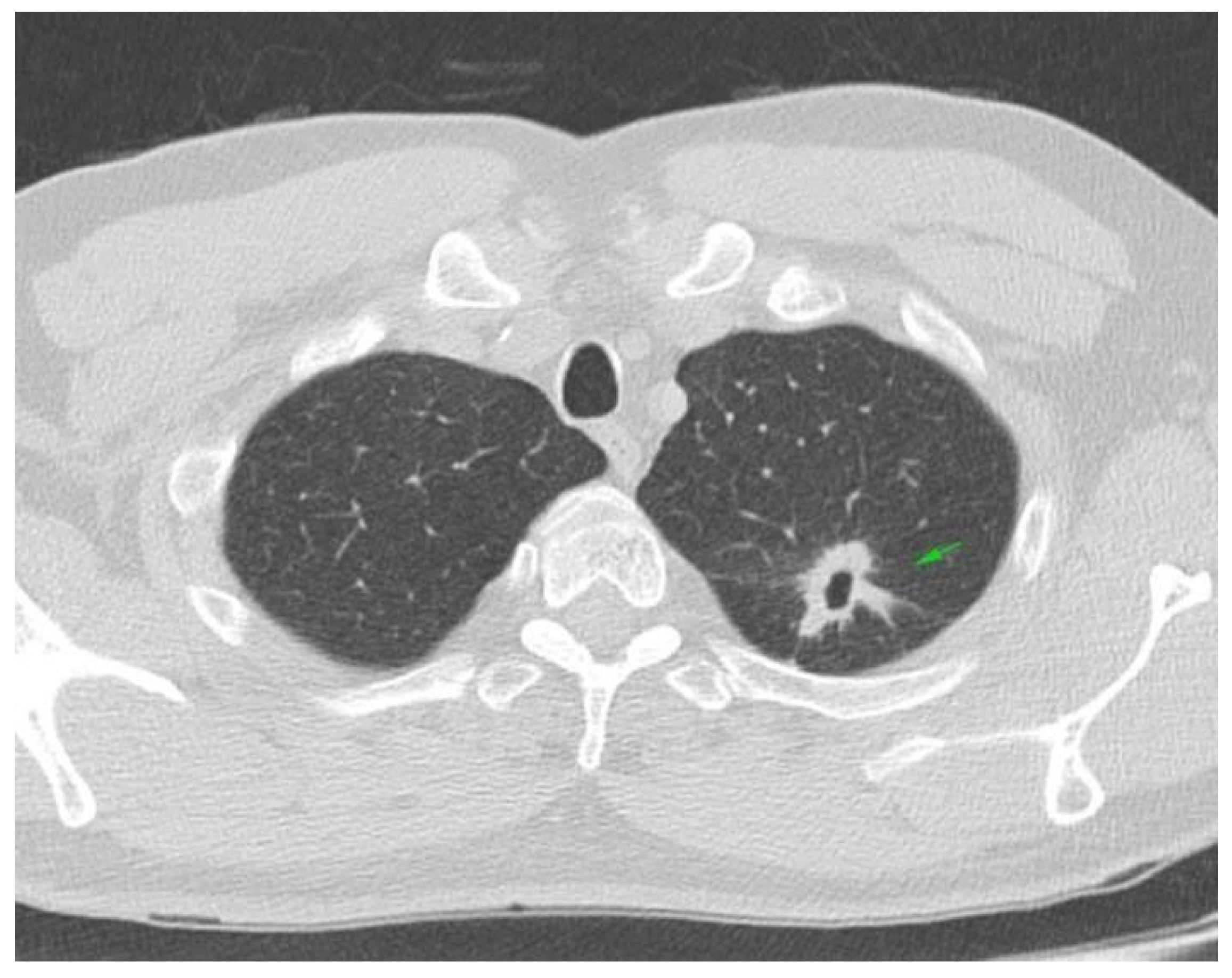 Reports 08 00031 g001