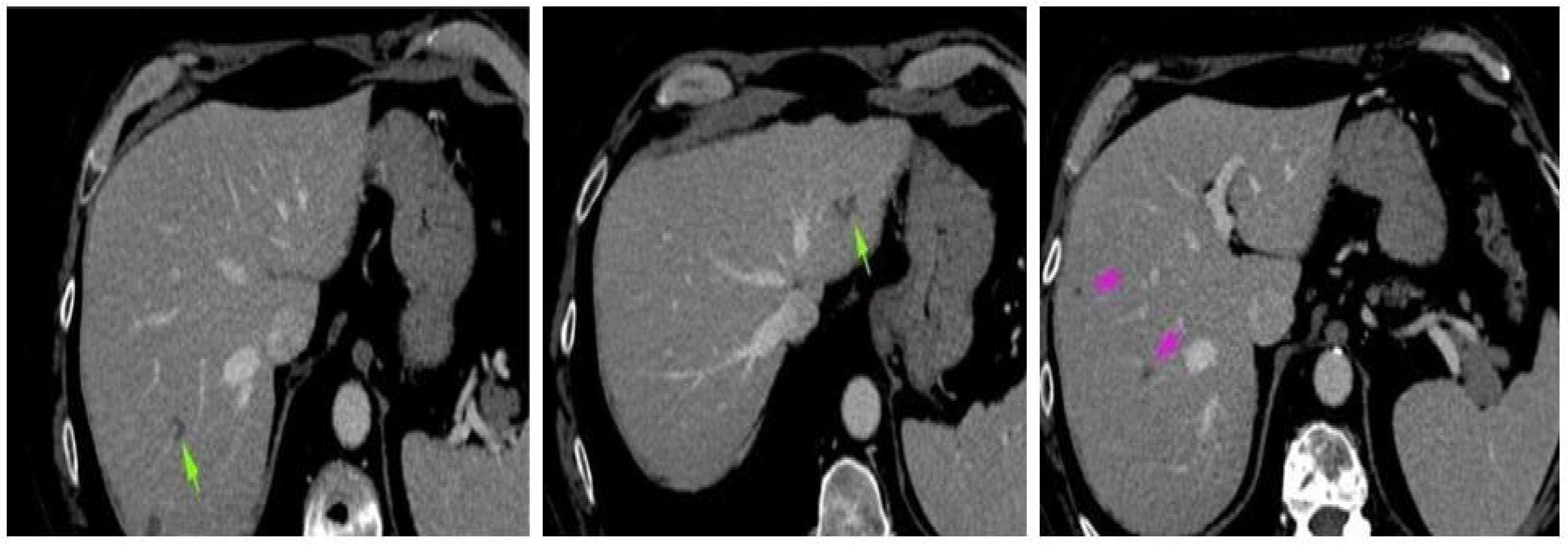 Reports 08 00031 g003